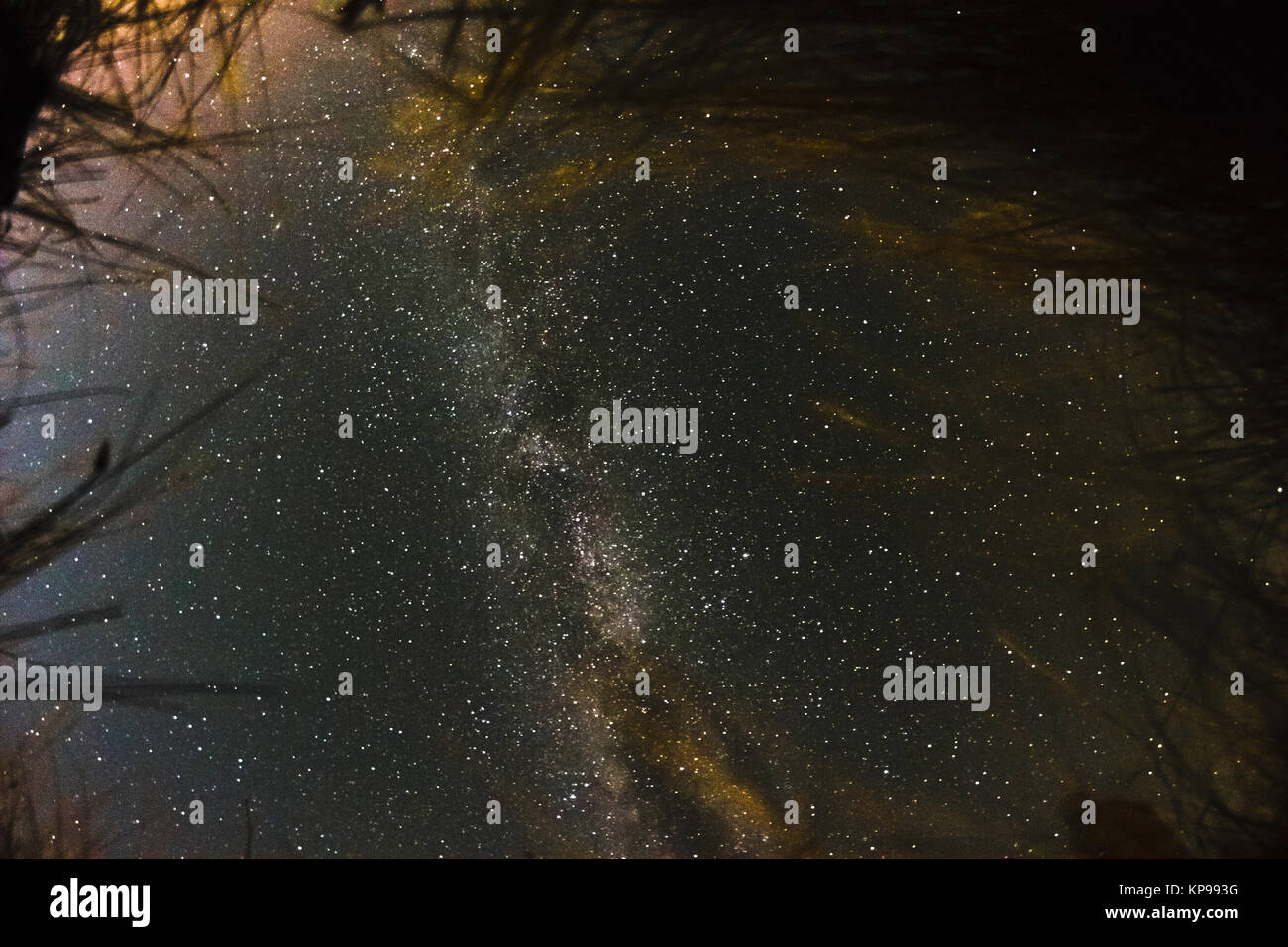 milky way view from bottom thru the grass Stock Photo