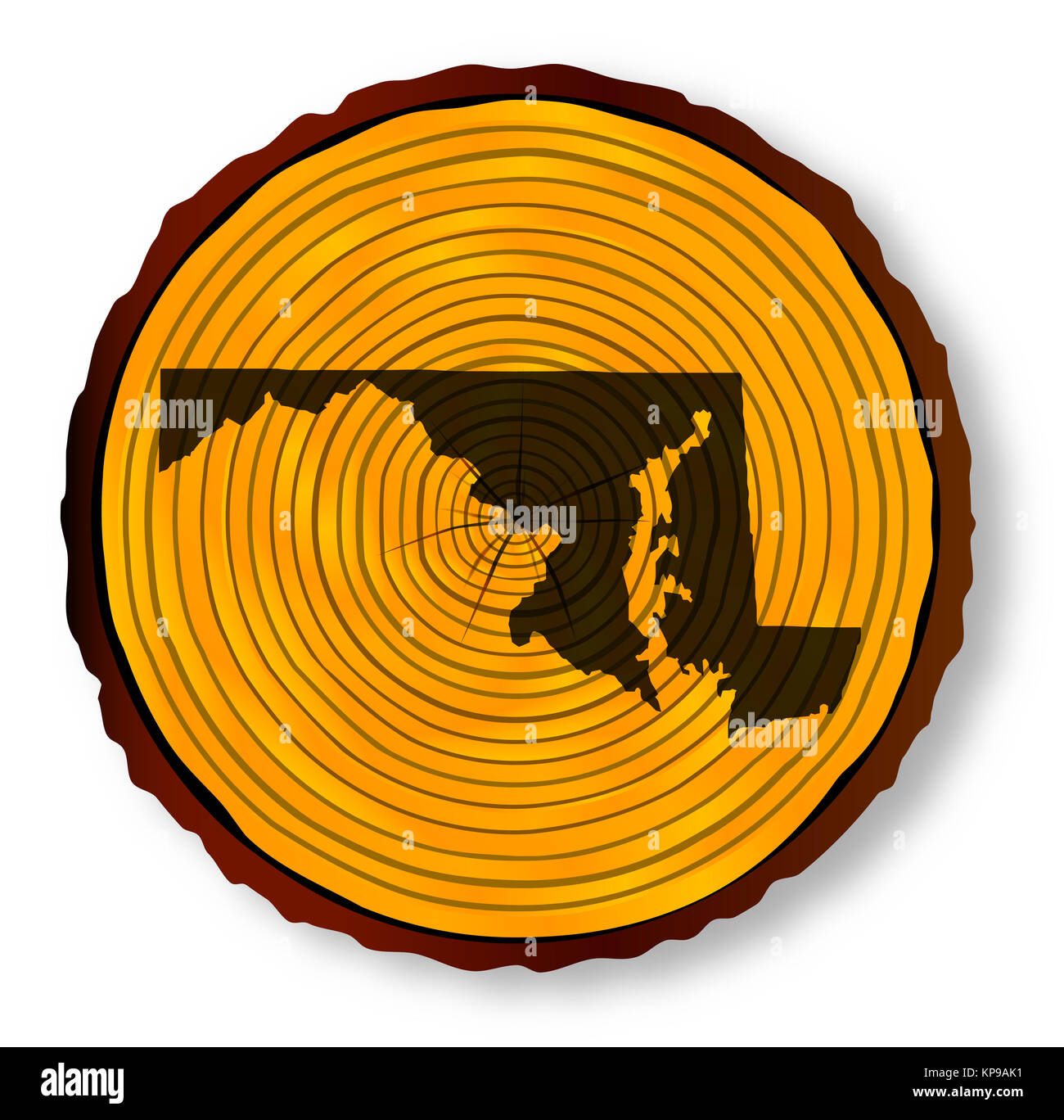 Maryland Map On Timber Stock Photo Alamy