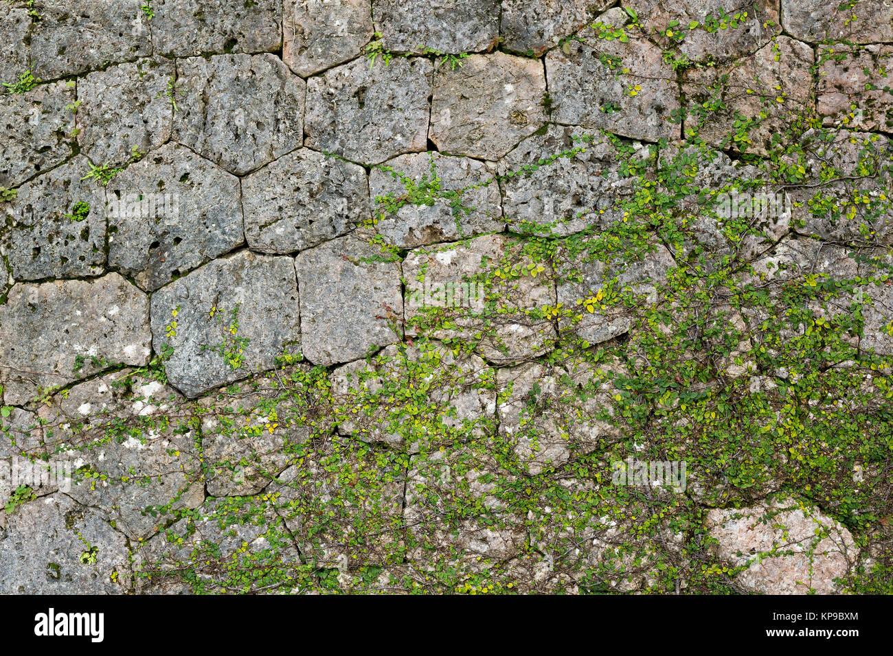 Textures surround hi-res stock photography and images - Alamy