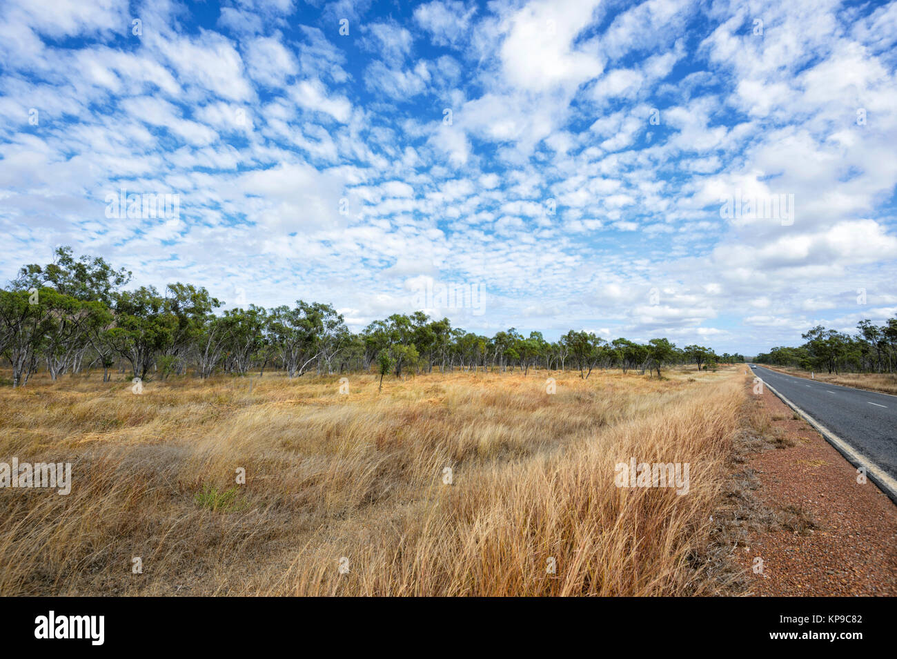 Mulligan Highway between Mt Molloy and Cooktown, Far North Queensland, FNQ, QLD, Australia Stock Photo