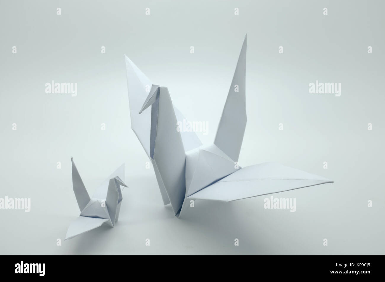 White origami crane, bird, paper Stock Photo