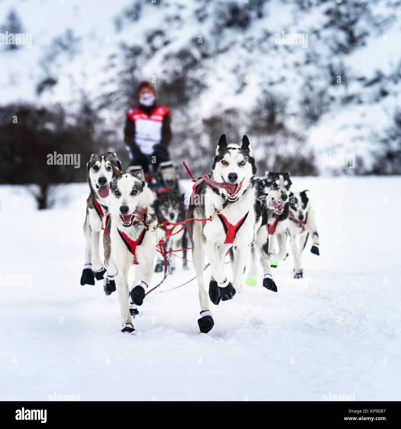 Go racing in france hi-res stock photography and images - Alamy