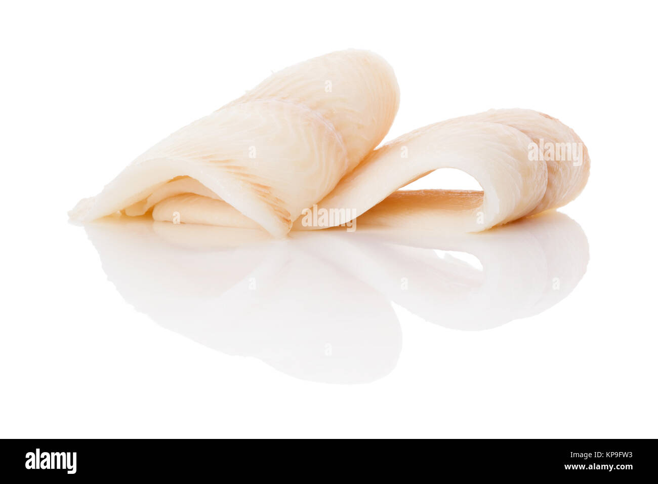 Raw fresh halibut steak isolated on white background. Culinary healthy