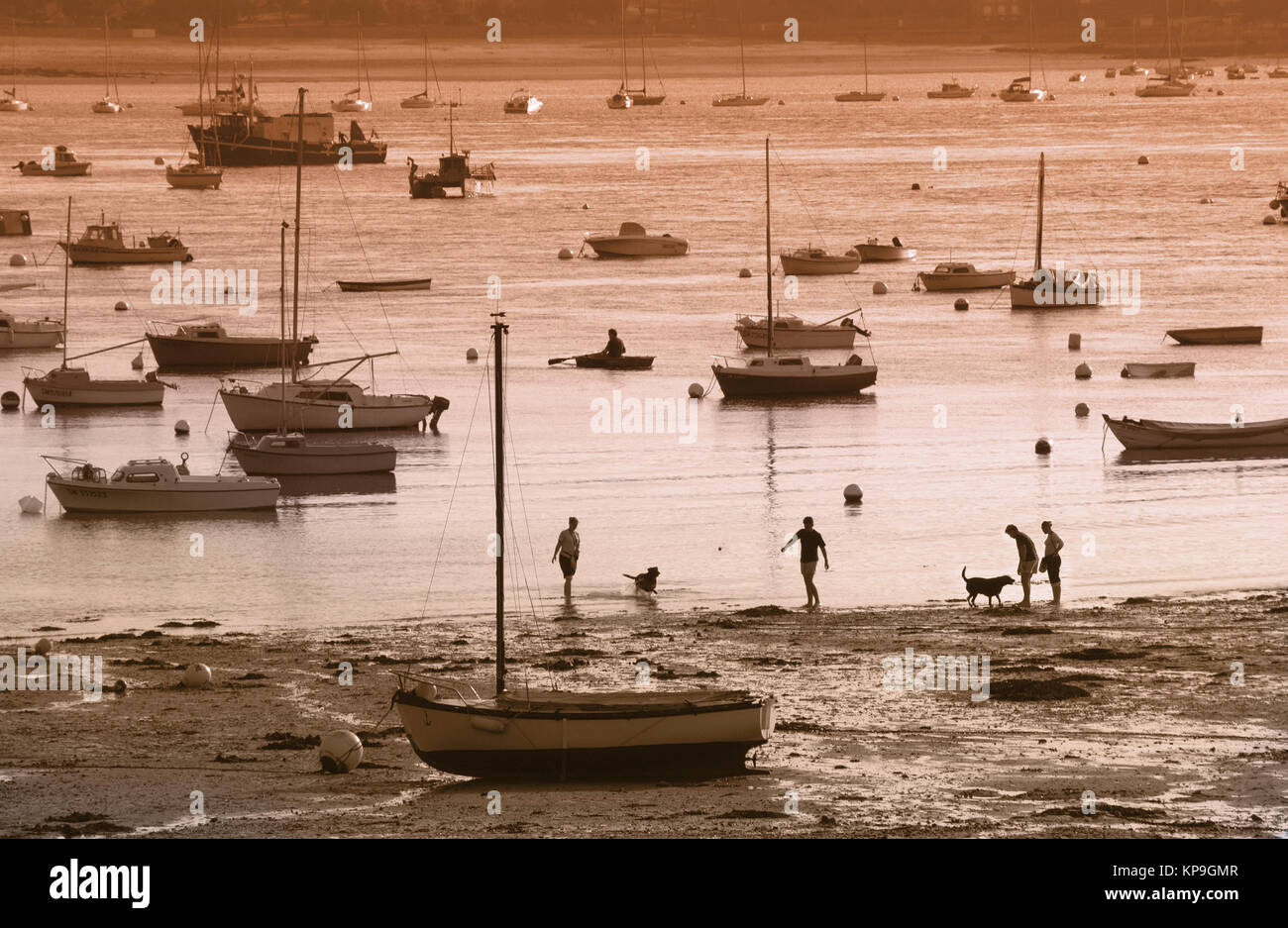 Family playing in the sea at low tide. St Malo (Saint Malo) is a port in Brittany in northwest France. Stock Photo