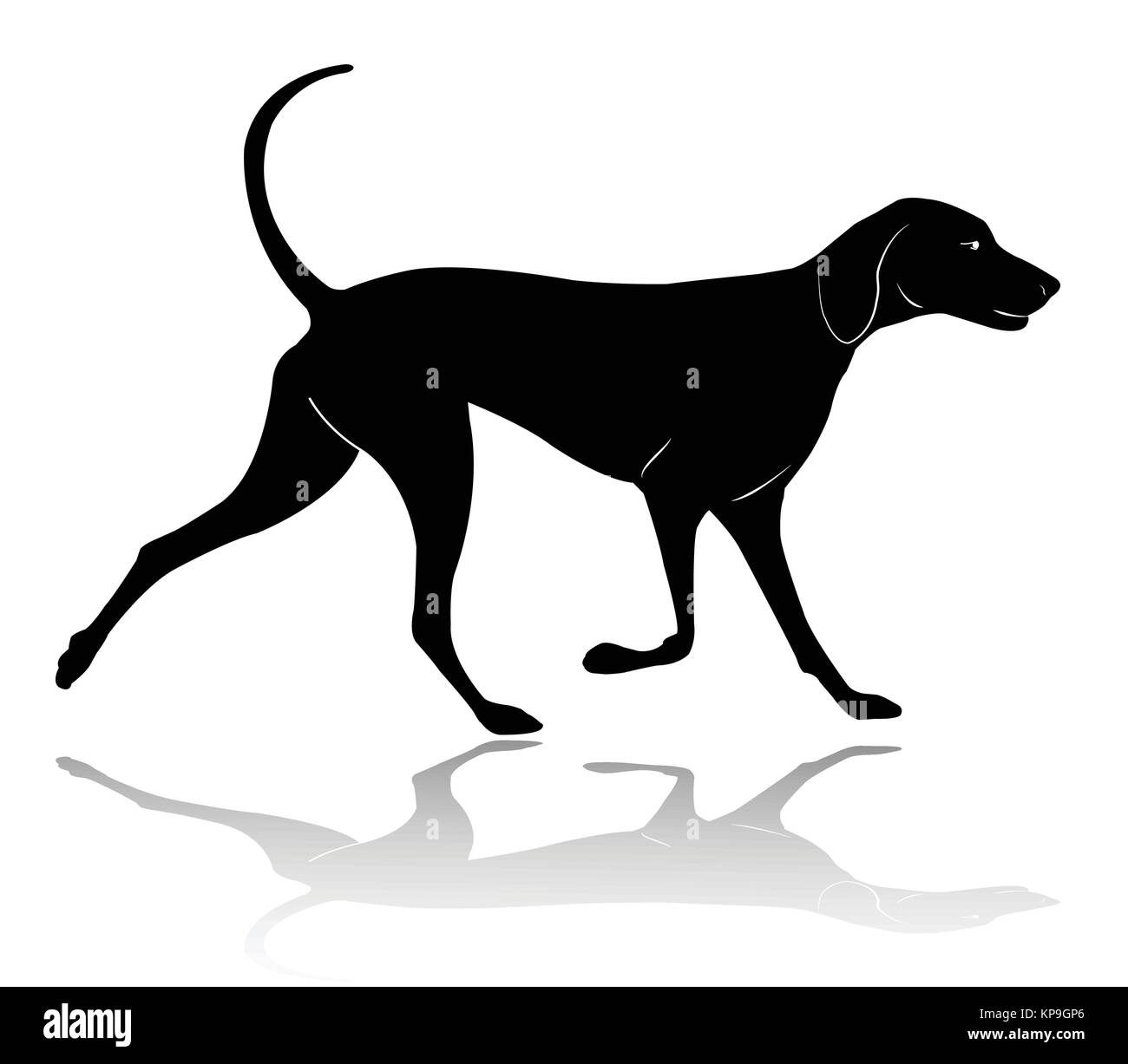 hunting dog walking silhouette - vector Stock Vector