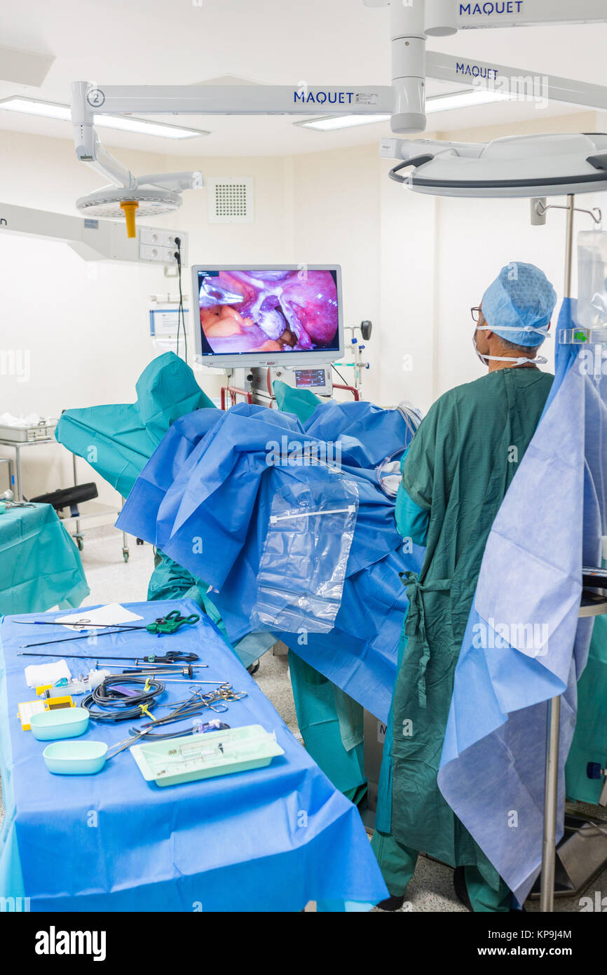 Hysterectomy performed by coelioscopy, Angouleme hospital, France. Stock Photo