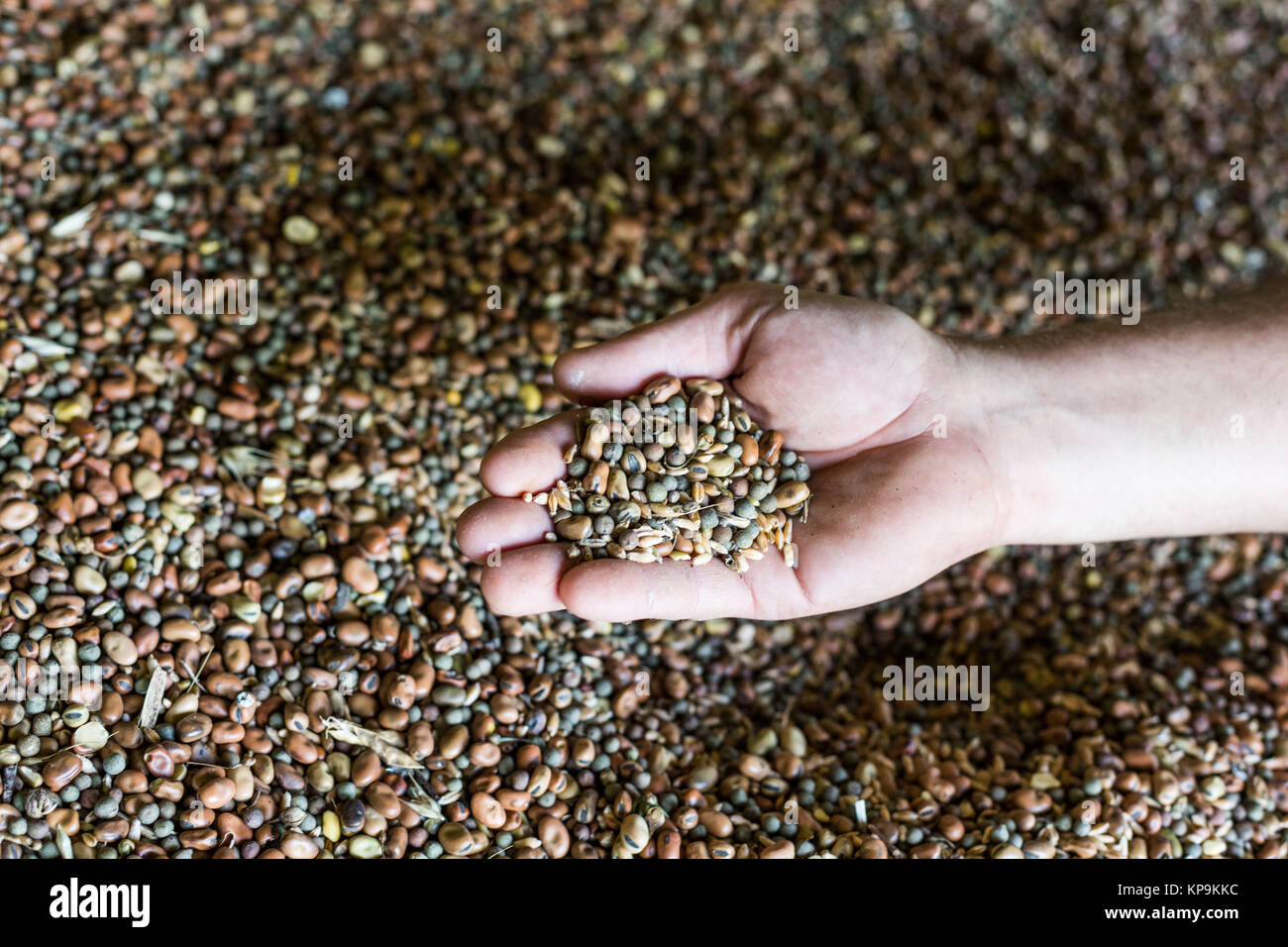 Organic protein blend for organic farming, France. Stock Photo