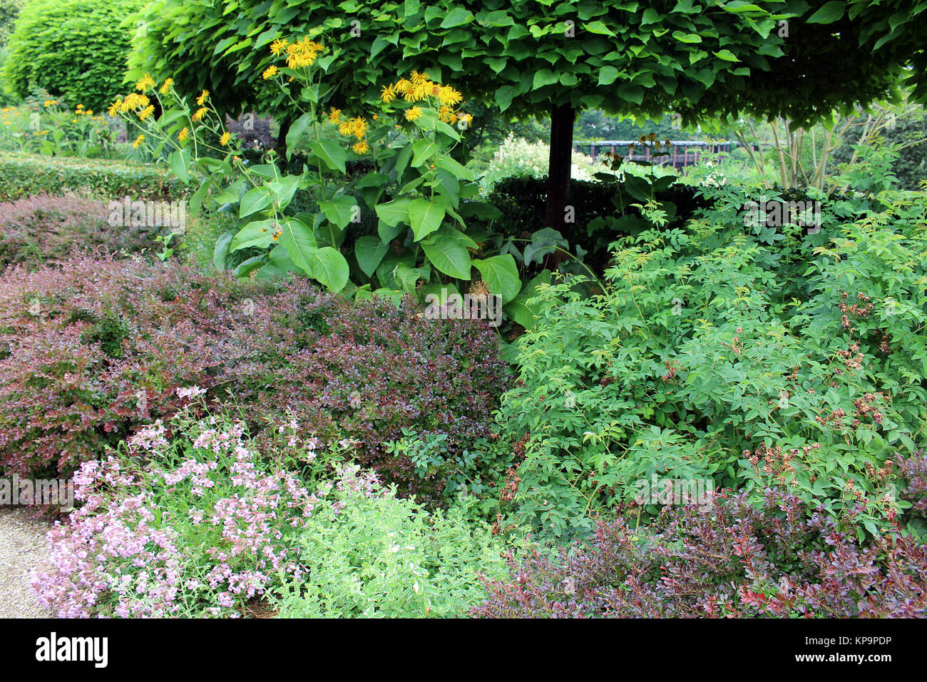 perennial garden in the summer weiskirchen,saarland Stock Photo Alamy
