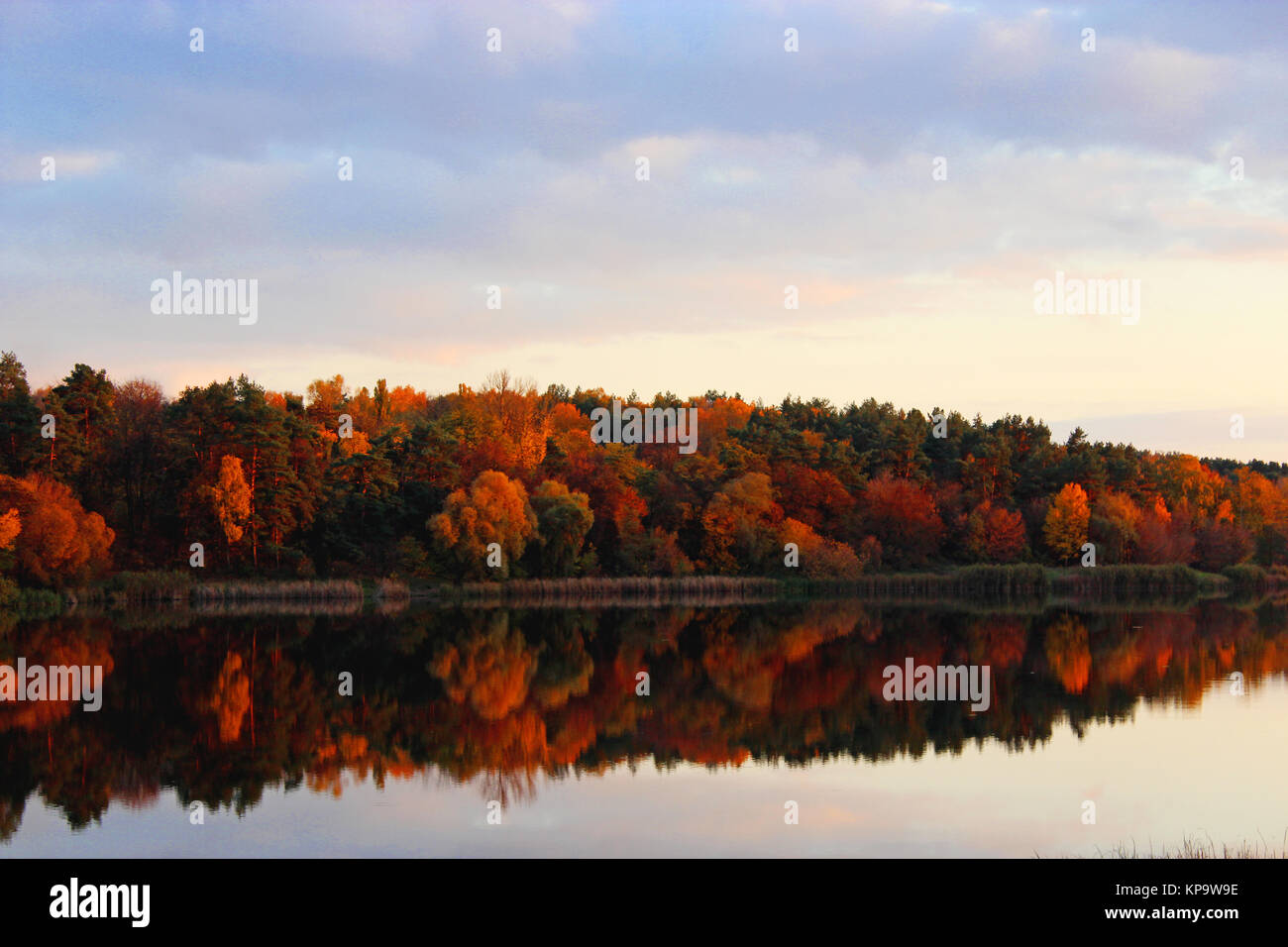 landscape with river and autumn colored forest Stock Photo - Alamy