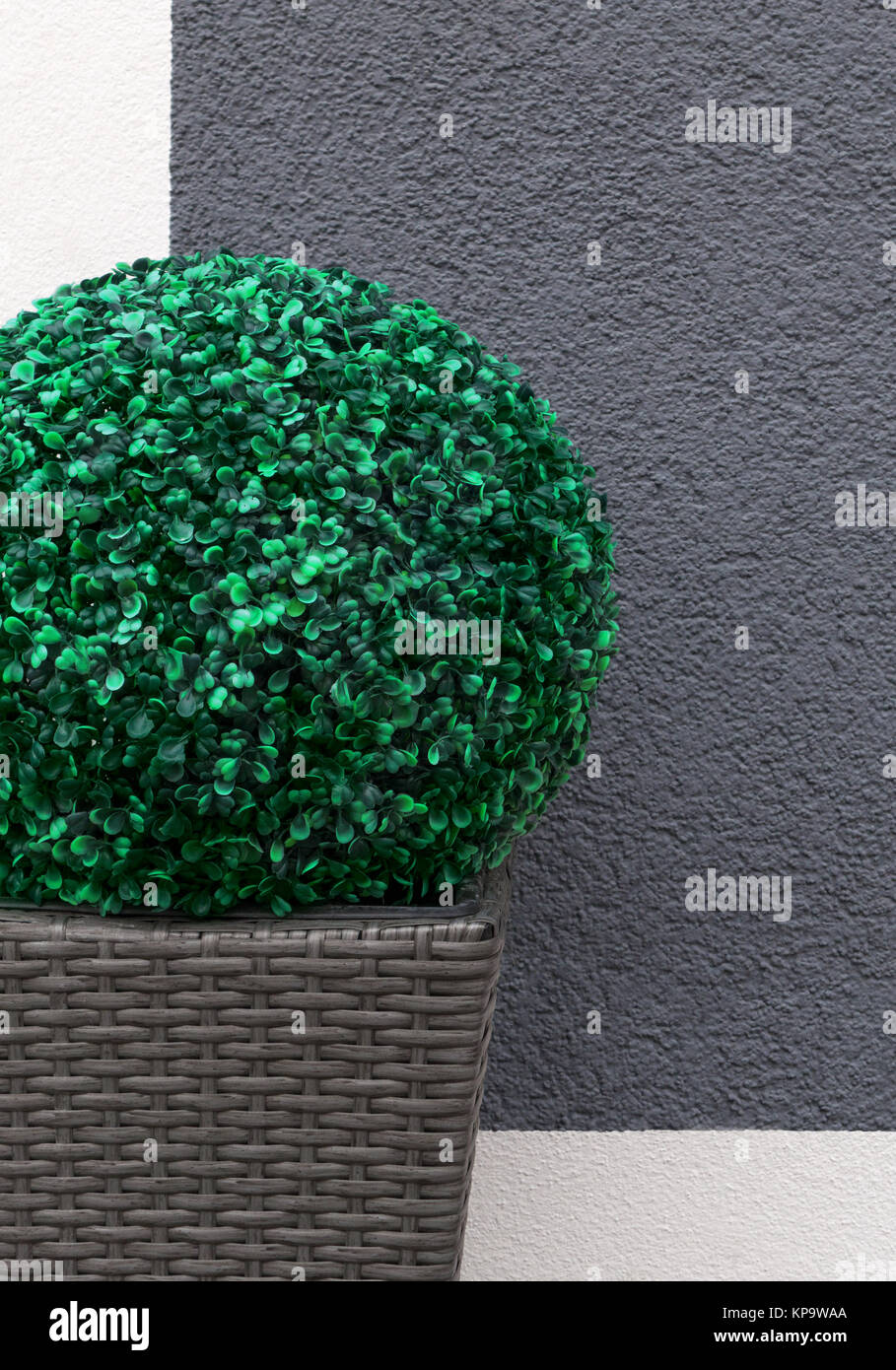 artificial boxwood ball in a brown,braided planter Stock Photo Alamy