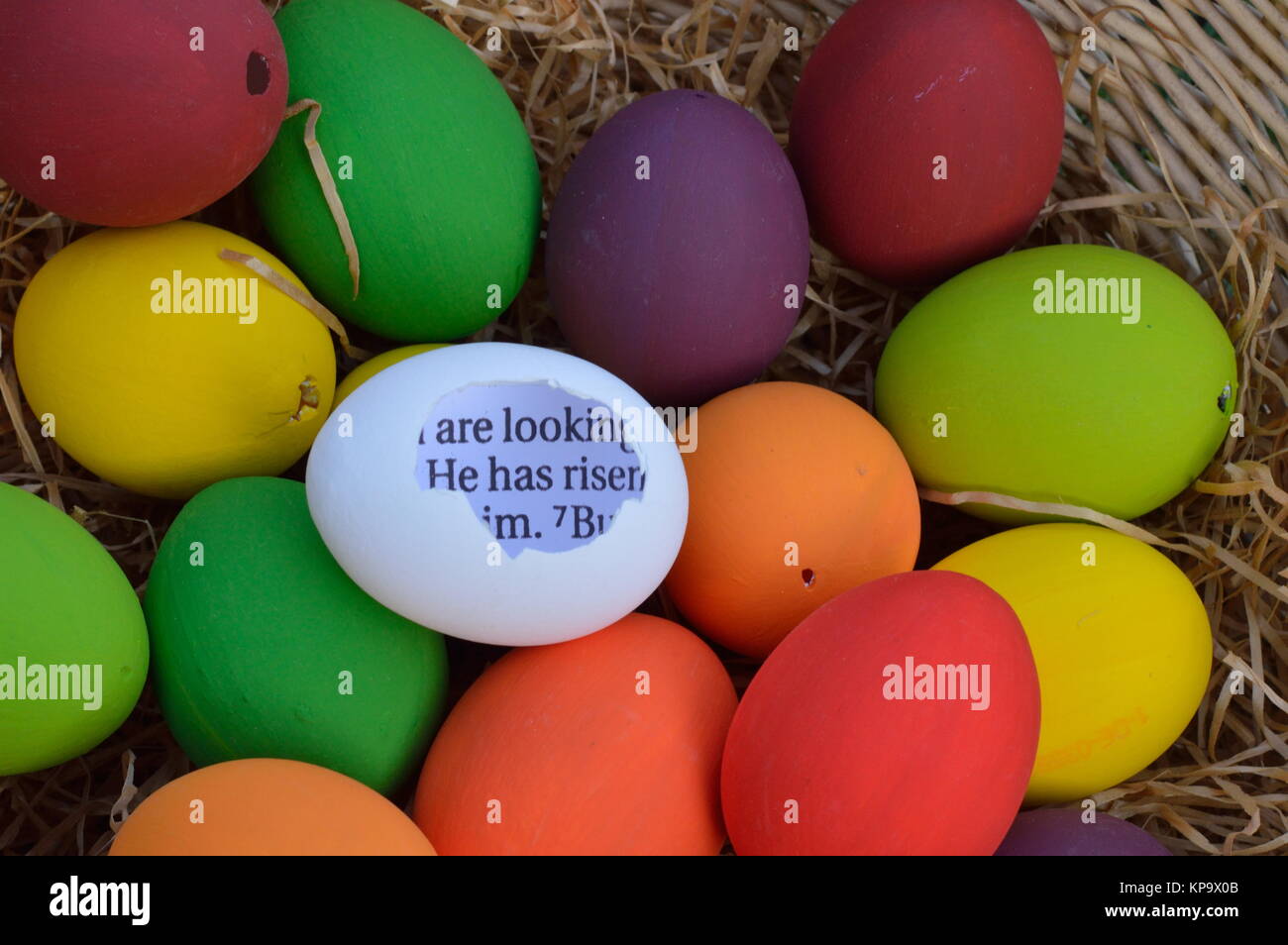 bright white egg with broken shell and Bible text in the words: HE HAS RISEN in the midst of many colorful Easter eggs Stock Photo