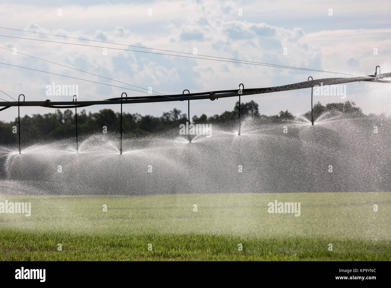 Large Lateral Move Irrigation System Stock Photo