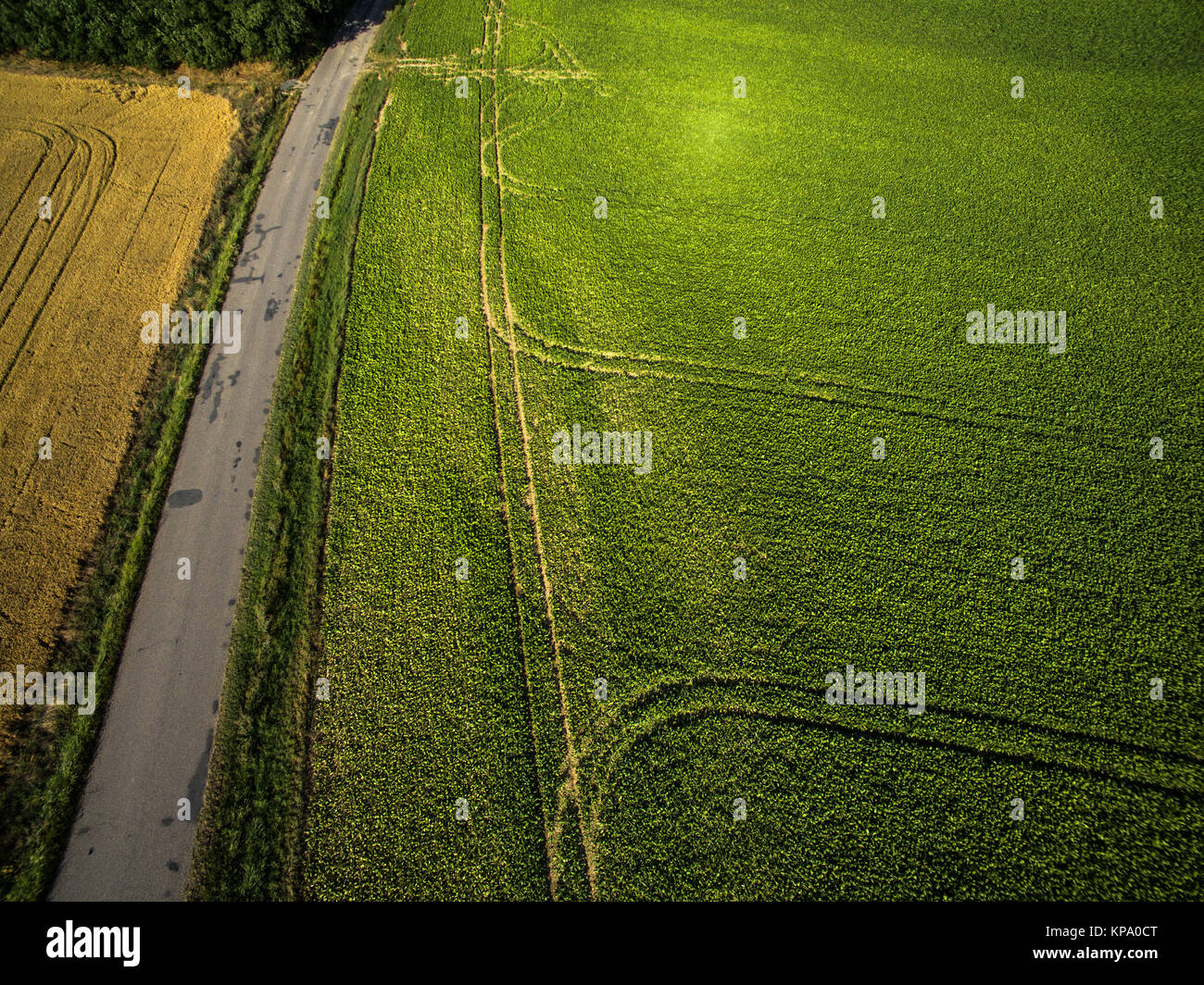 Farmland from above - aerial image of a lush green filed Stock Photo ...