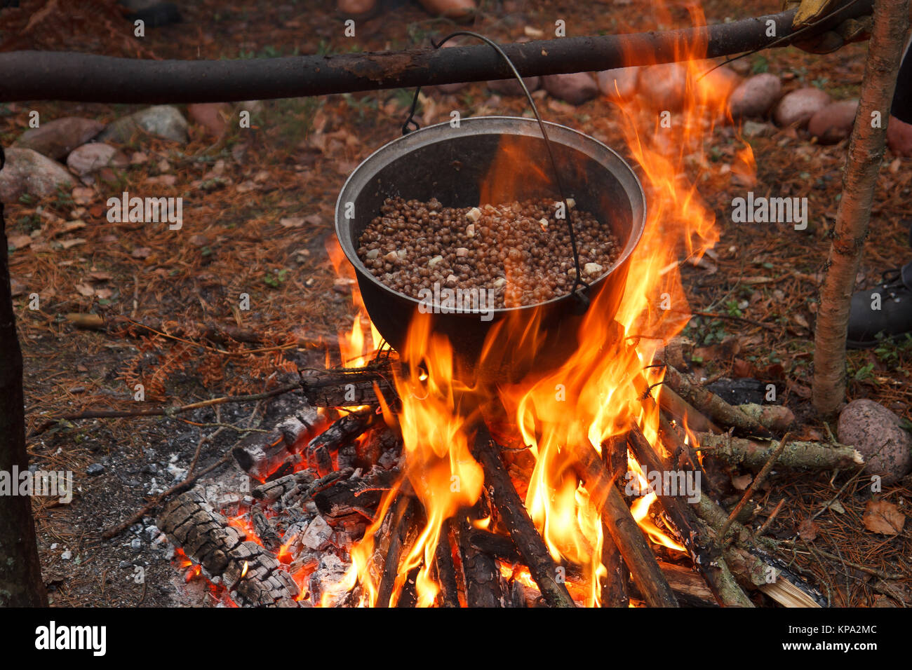 Cooking a meal in the forest Stock Photo Alamy