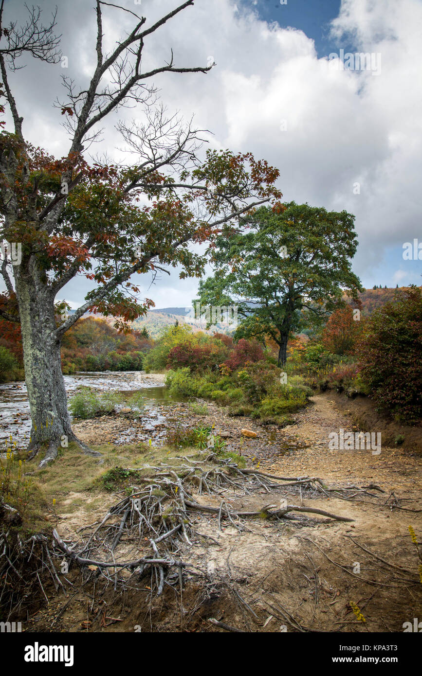 A river runs through it, in the Appalachian Mountains. A tree, a creek ...