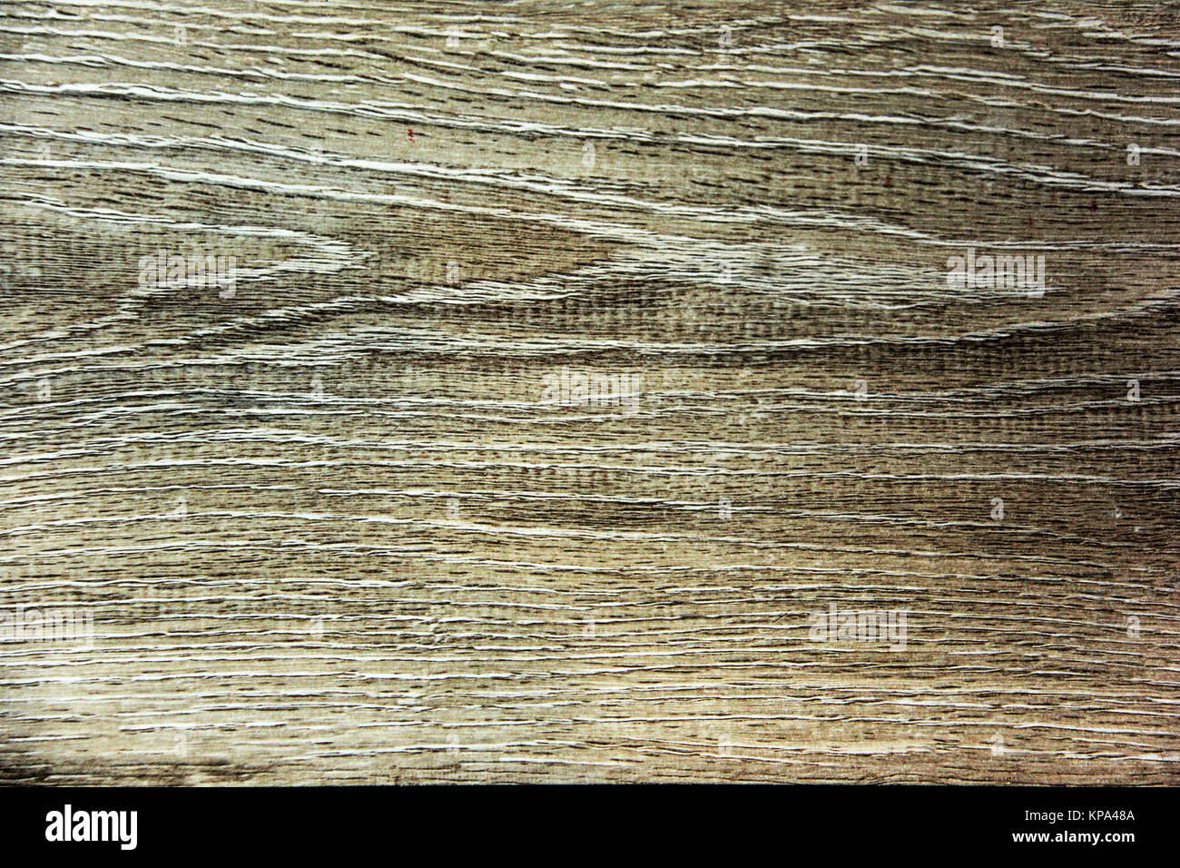 old aged tree wood texture Stock Photo - Alamy
