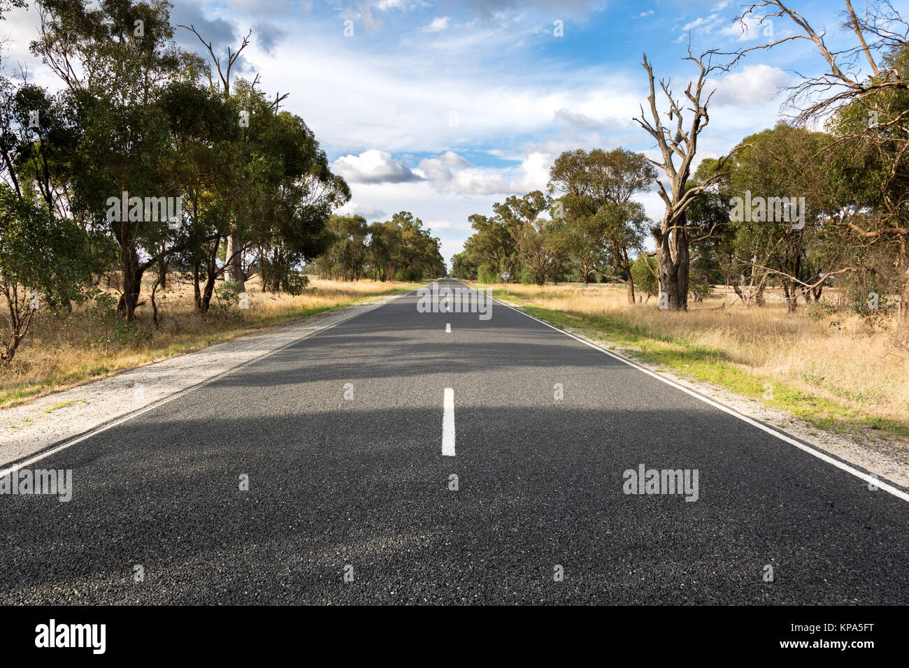 Road through dried crops Stock Photo