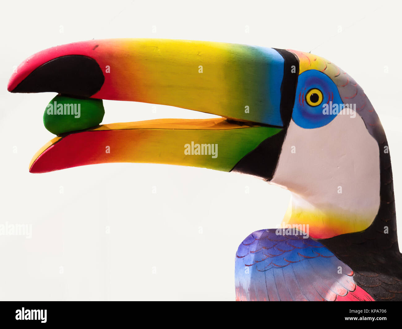 wooden reproduction of a colorful toucan, holding a green fruit in its ... Biology Diagrams