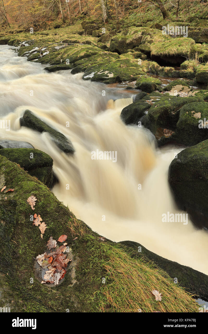 The strid hi-res stock photography and images - Alamy