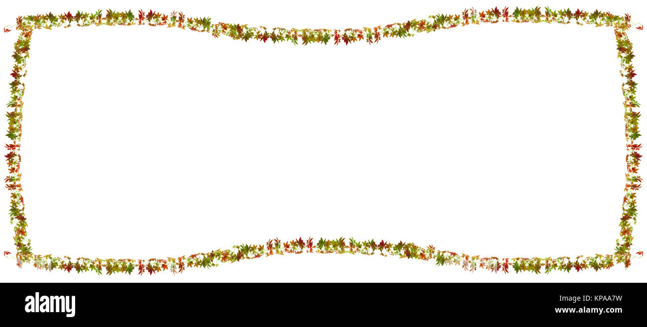 Beautiful autumn leaves frame on white background Stock Photo - Alamy