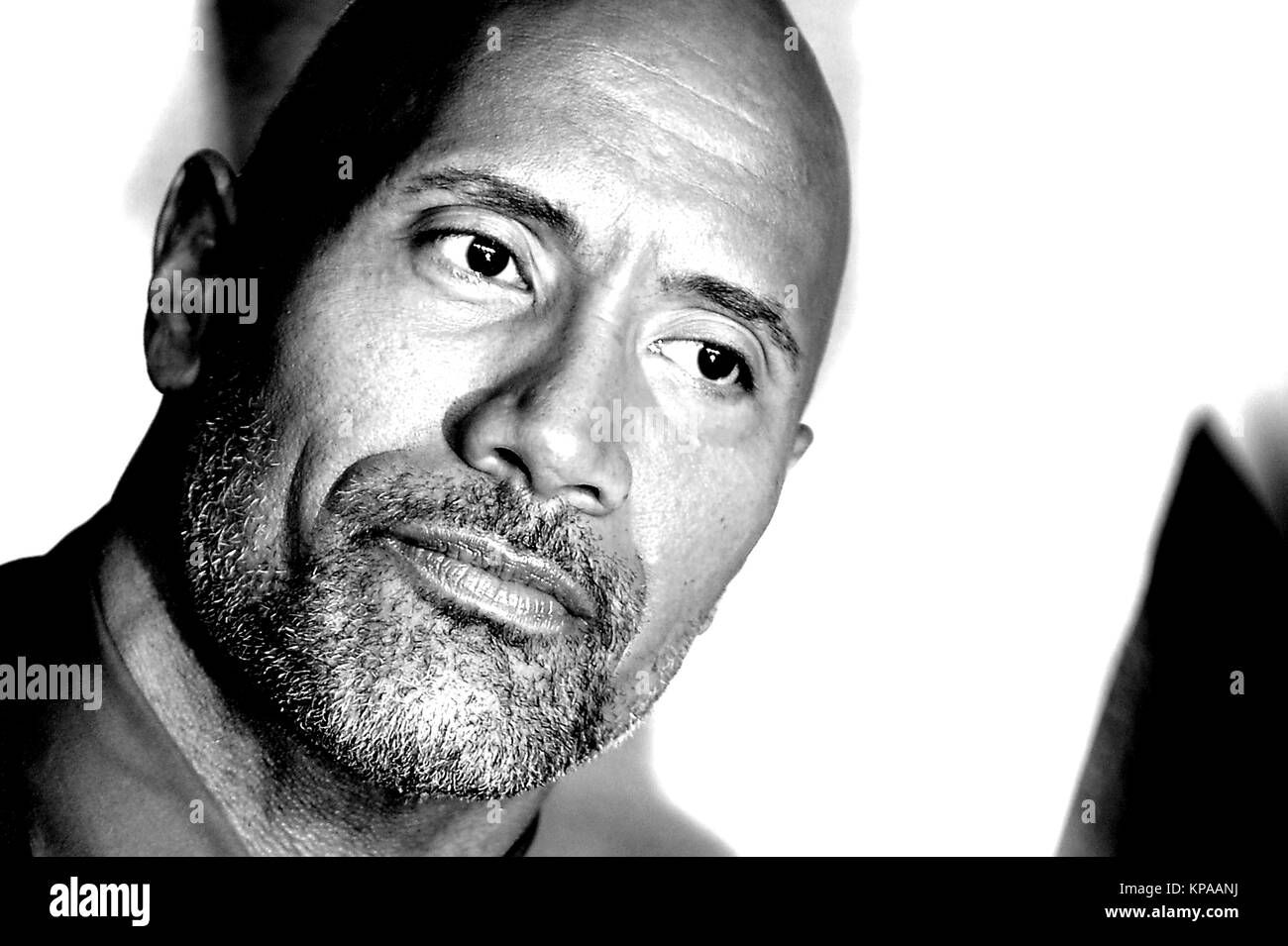 Dwayne Johnson Black And White Stock Photos Images Alamy dwayne-johnson-black-and-white-stock-photos-images-alamy