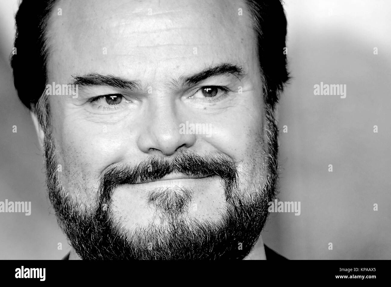 Jungle jack Black and White Stock Photos & Images Alamy
