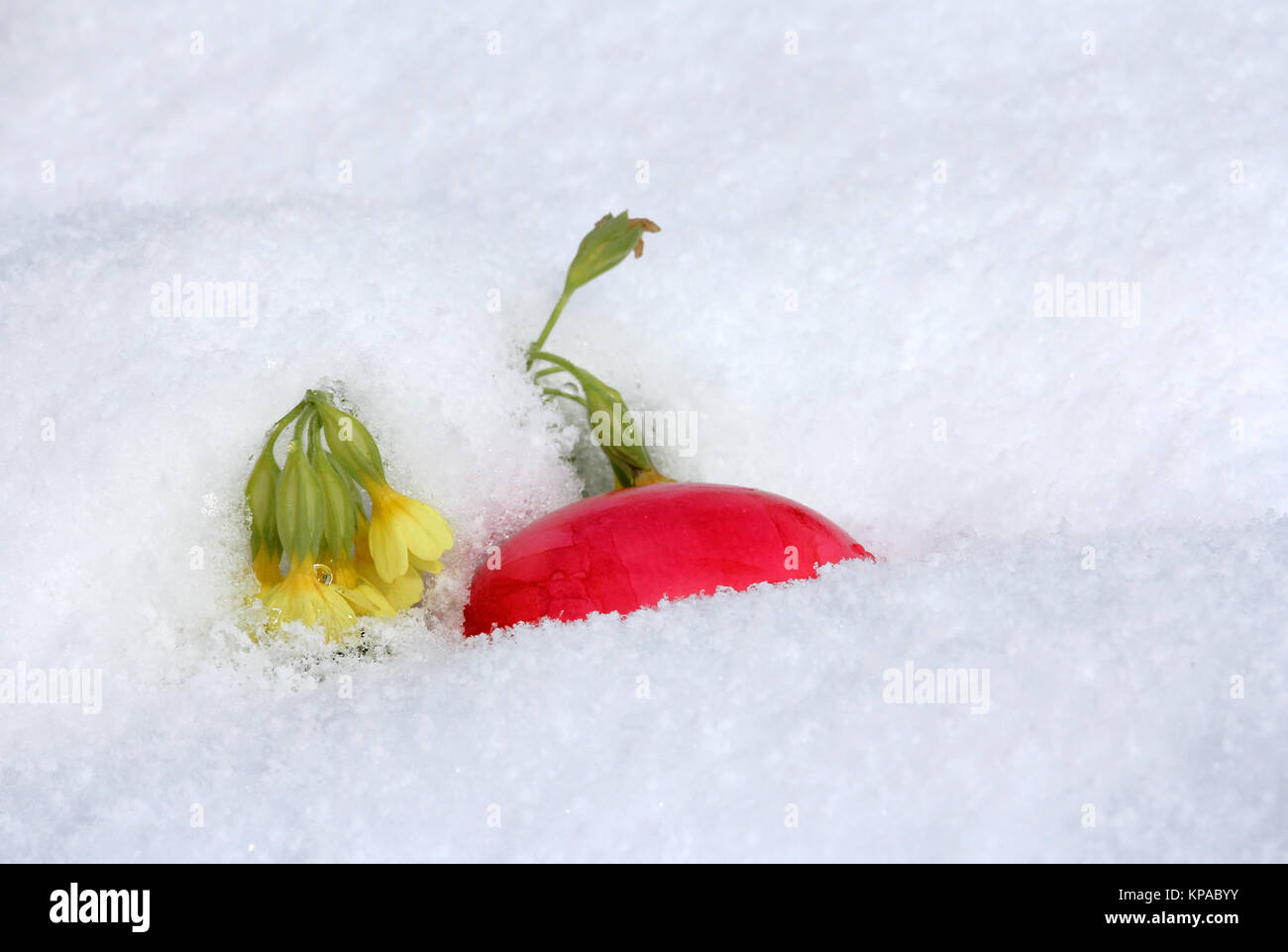 The Easter egg in the snow - When it snows at Easter! Stock Photo