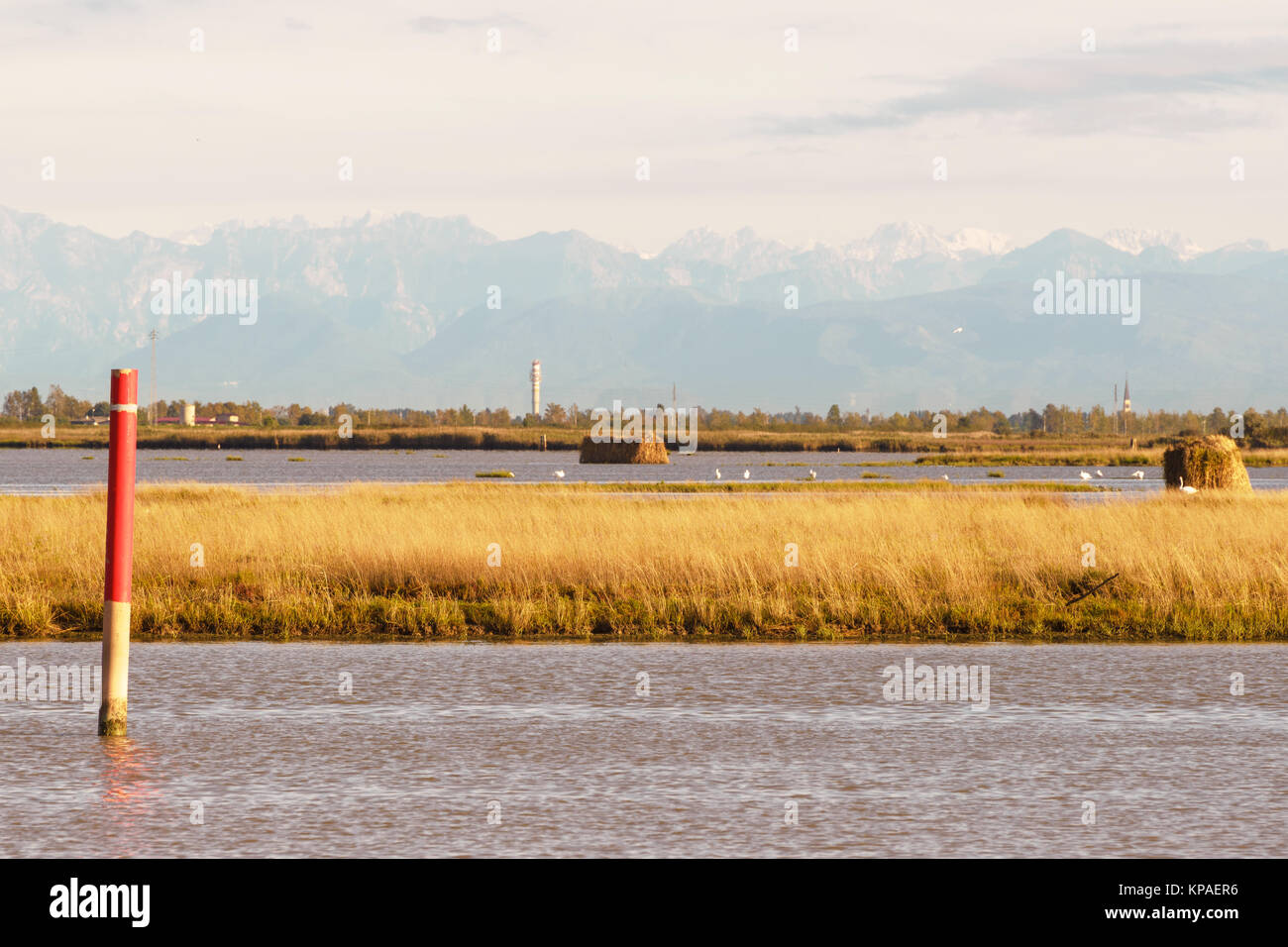views of the landscape of the lagoon in Bibione Pineda Stock Photo - Alamy