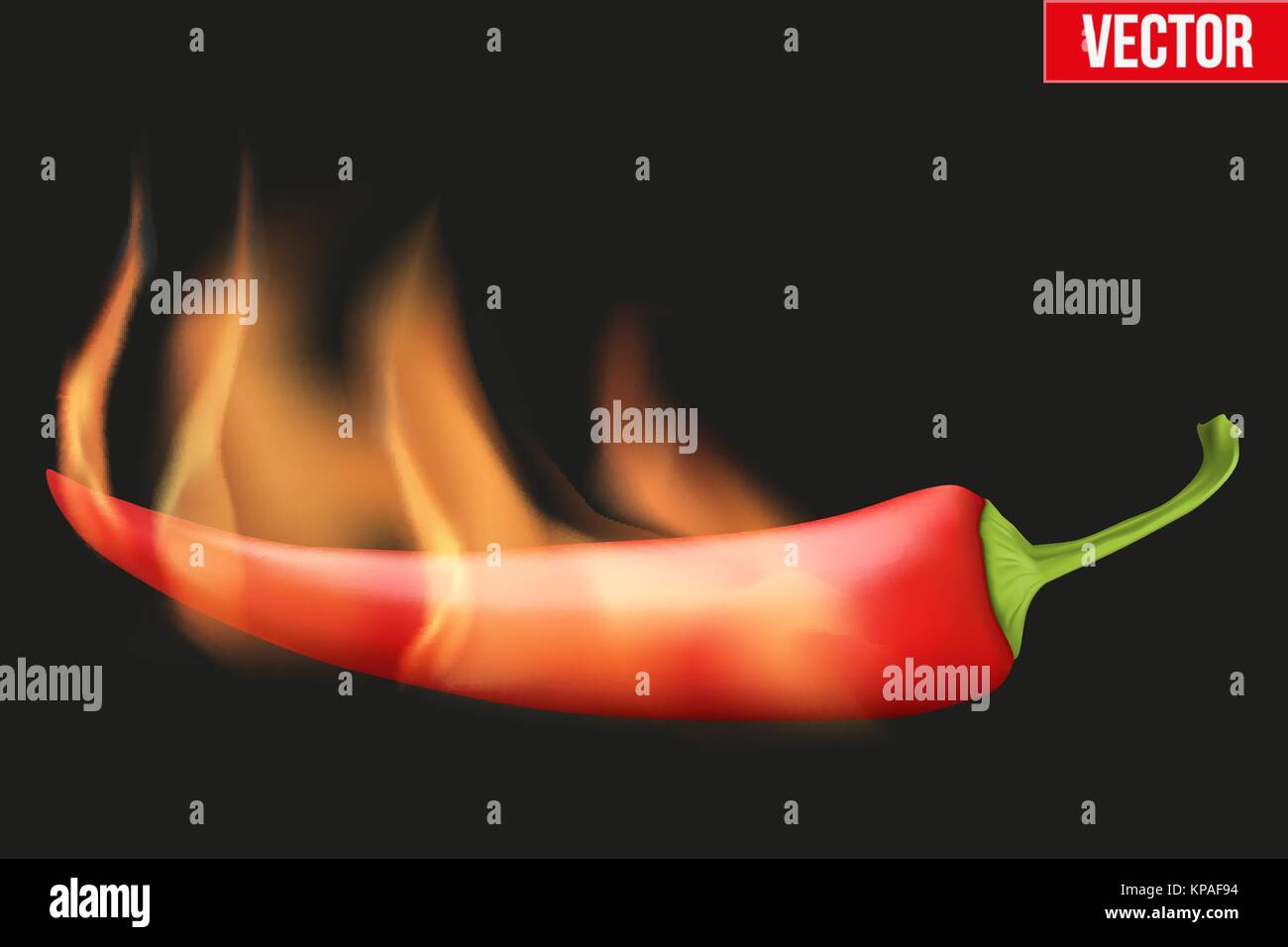 hot chili peppers Stock Vector