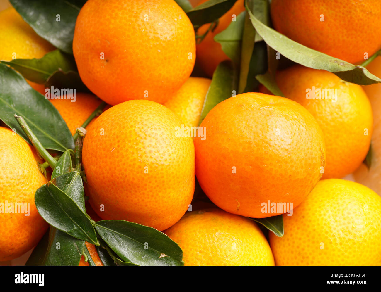 Fresh organic Clementines Stock Photo Alamy