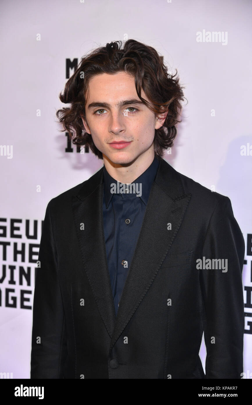 New York, USA. 13th December, 2017. Timothee Chalamet attends the Museum of the Moving Image Salute to Annette Bening at 583 Park Avenue on December 13, 2017 in New York City. Credit: Erik Pendzich/Alamy Live News Stock Photo