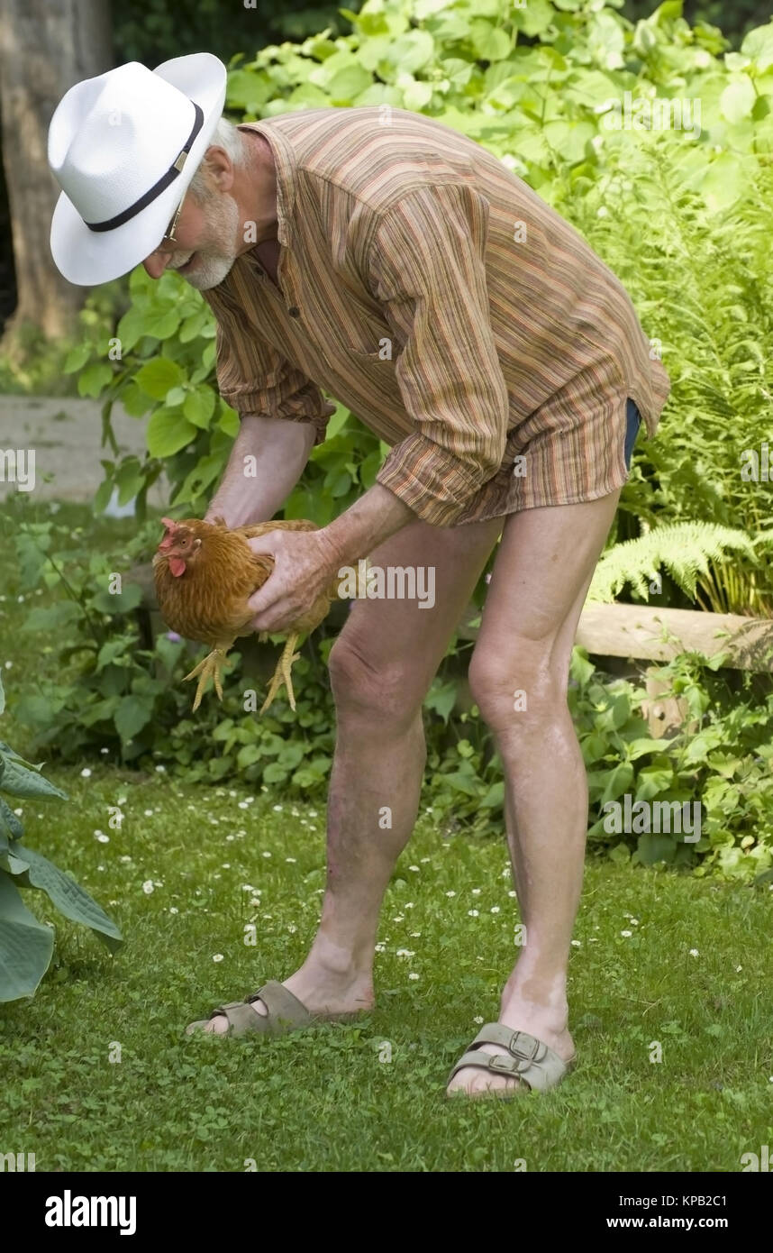 Model release, Pensionist mit Henne in der Wiese - pensioner with chicken in meadow Stock Photo