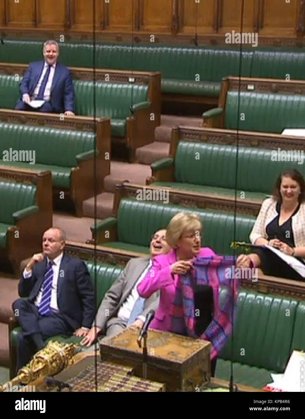 Commons Leader Andrea Leadsom dons a pink tartan scarf at the despatch box in the House of Commons, London, to mark a campaign by Cancer Research UK. Stock Photo