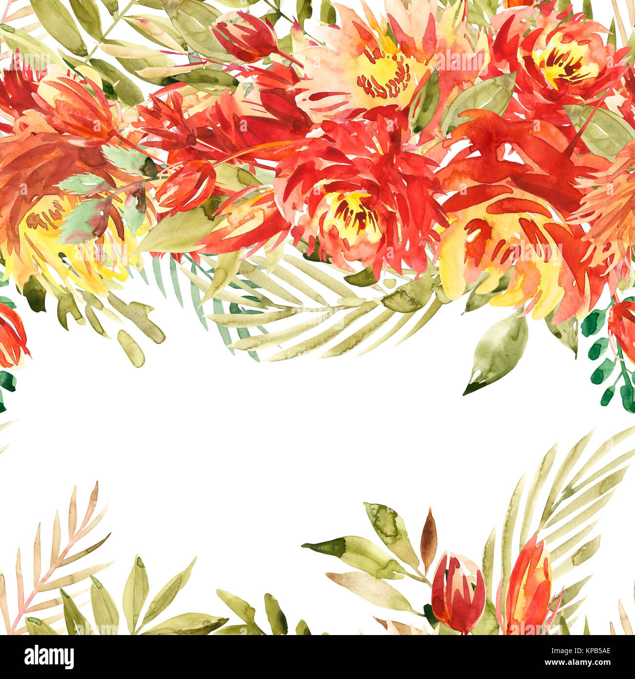 Wallpaper Border Bright Wildflowers Floral Squares