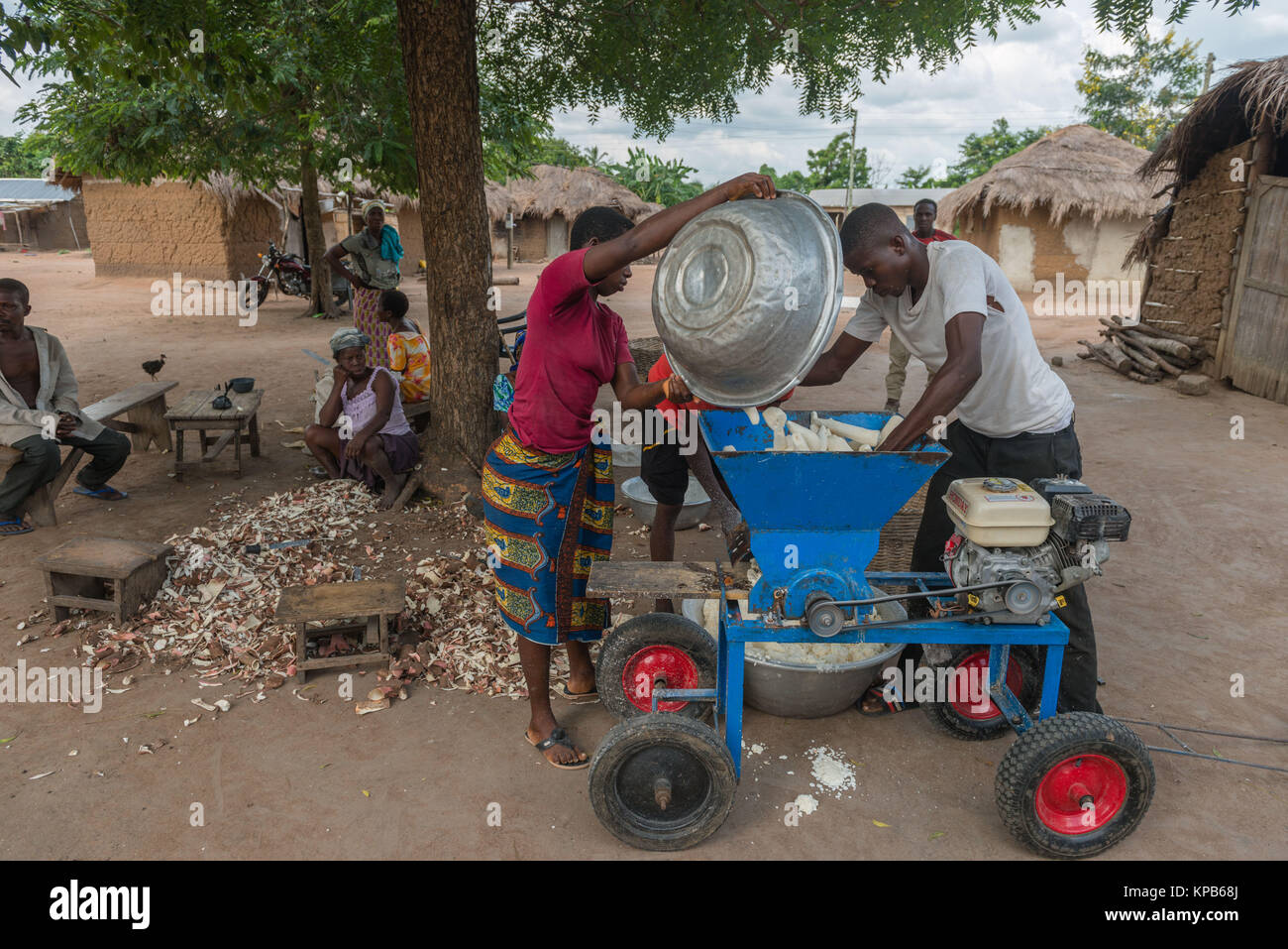 Grinding the peeled and washed Cassava roots, village near Mafi-Kumase Proper, Volta Region, Ghana, Africa Stock Photo