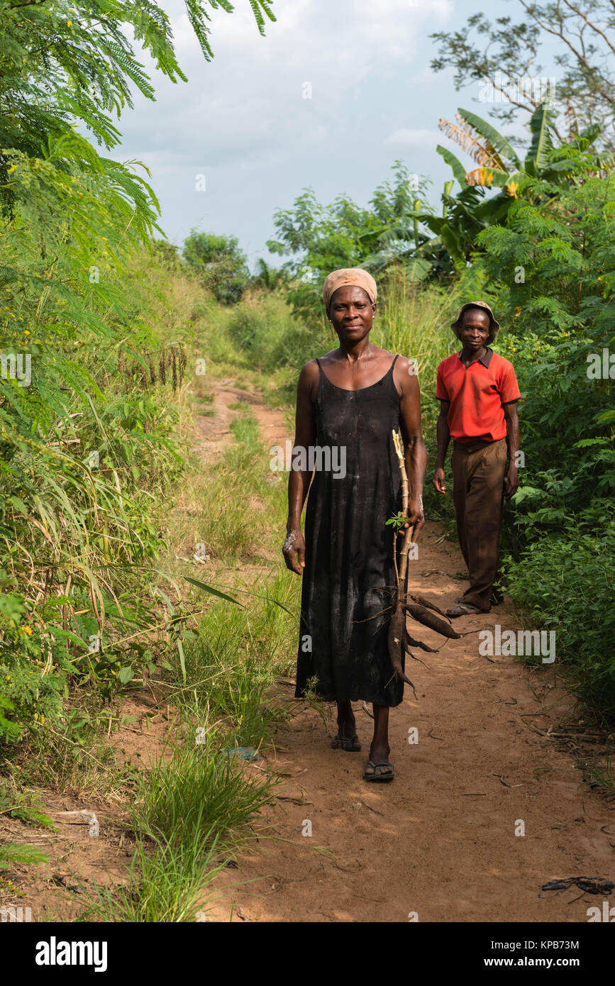 Portrait of a woman farmhand in the fields, village near Mafi-Kumase Proper, Volta Region, Ghana, Africa Stock Photo