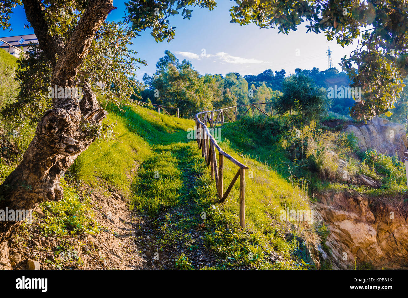 tree trail and mountain slope in the vicinity of the north coast of sicily Stock Photo