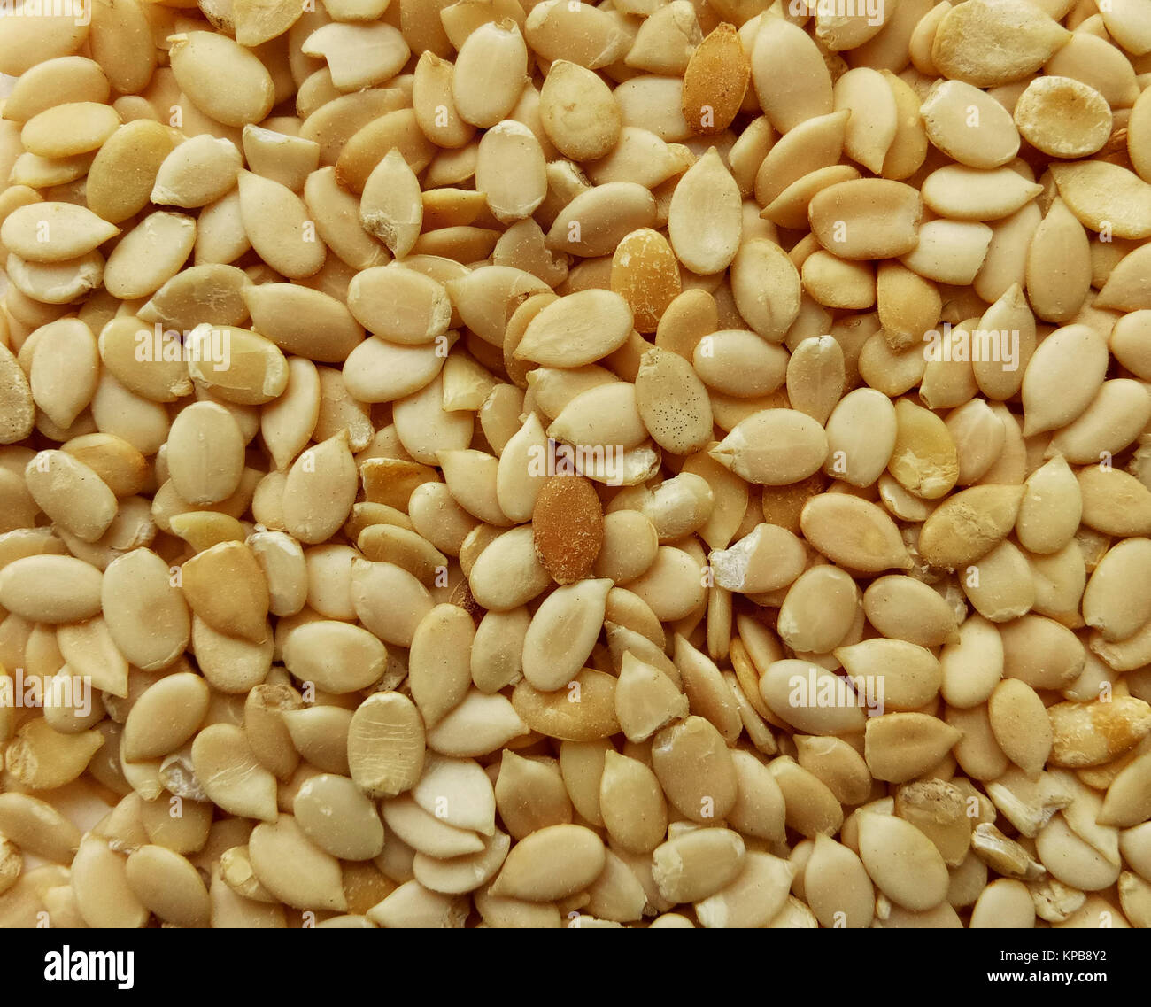 Melon Seeds Natural and Healthy Food Ingredient Stock Photo