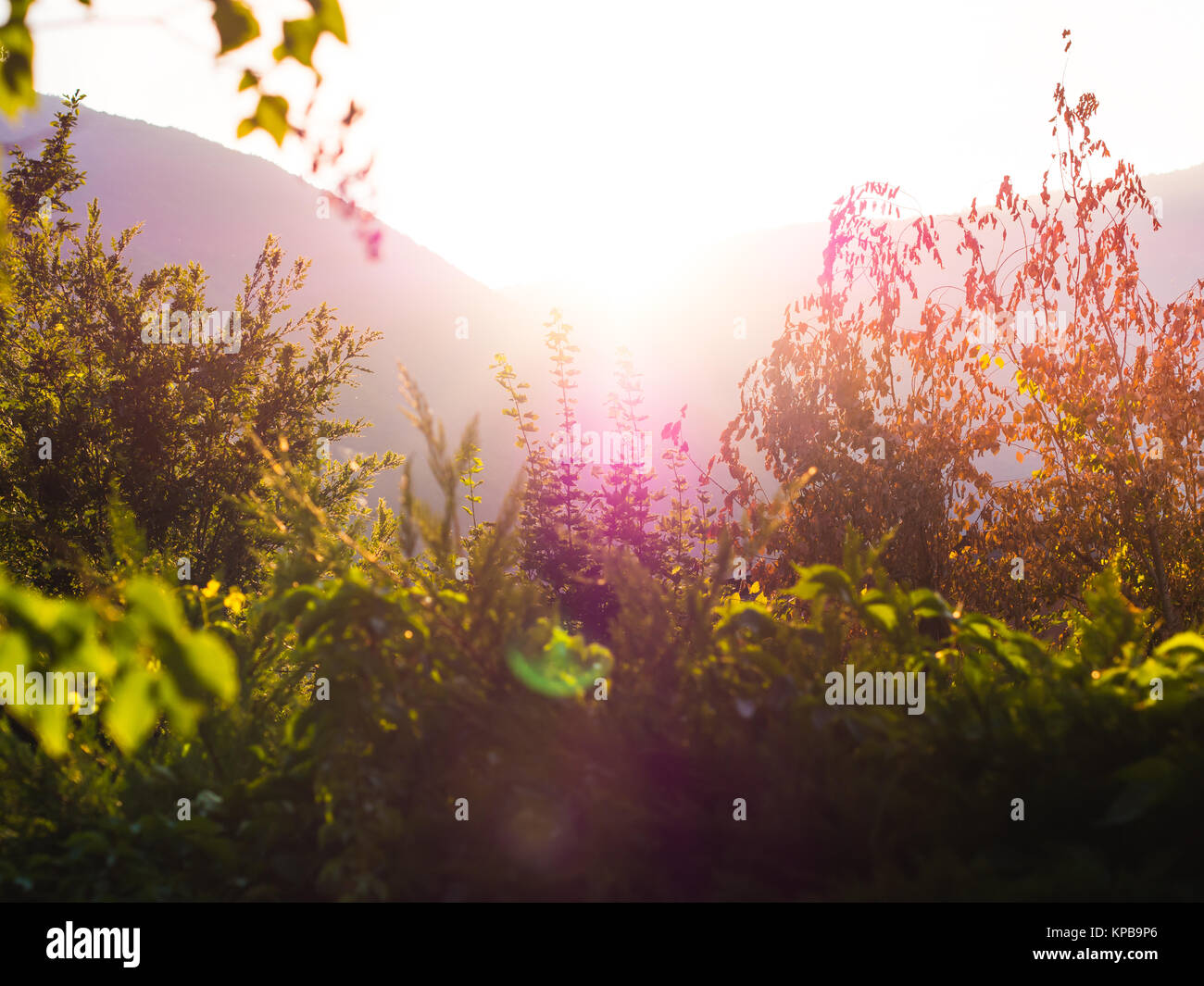 Sunset natural background scene in the mountains Stock Photo