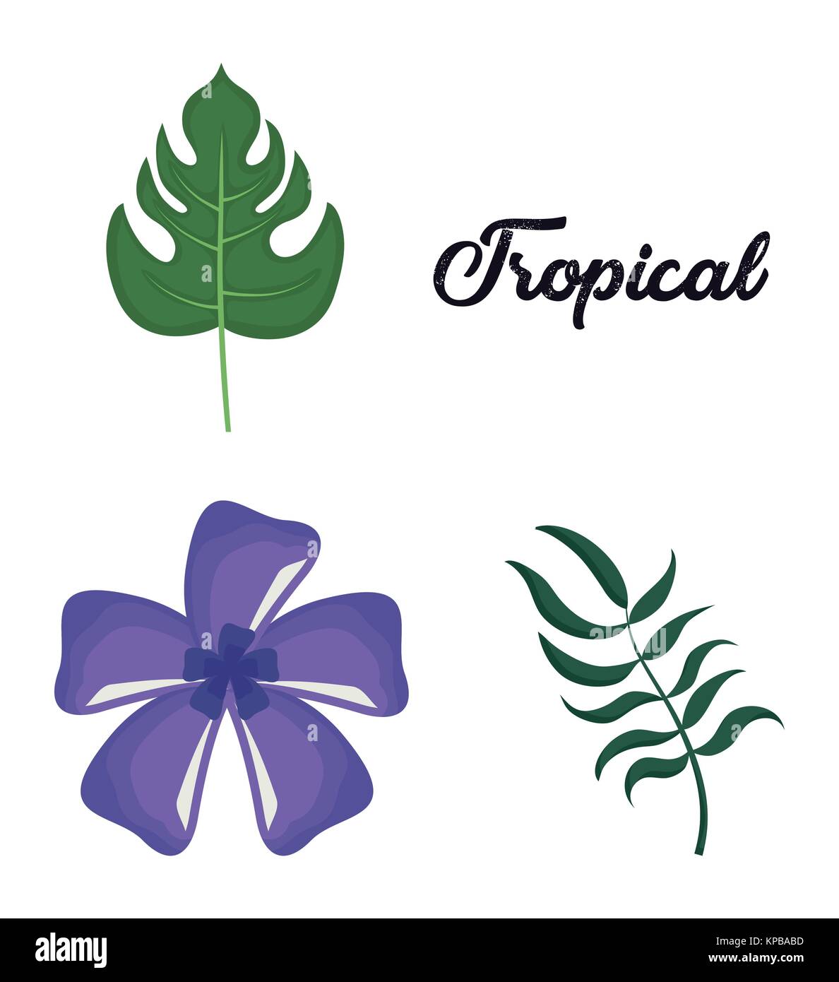 set of tropical leaves and flowers design Stock Vector Image & Art - Alamy
