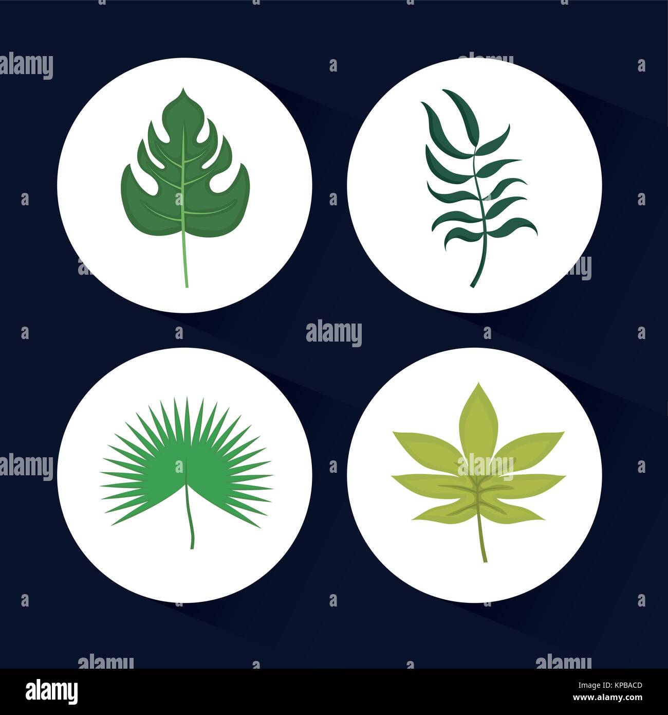 set of tropical and exotic leaves design Stock Vector Image & Art - Alamy