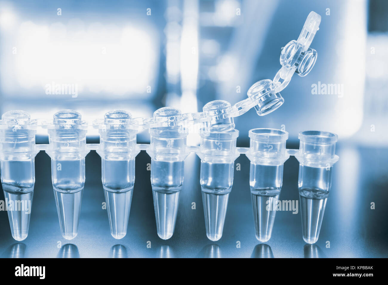 Tubes for DNA amplification by PCR Stock Photo Alamy
