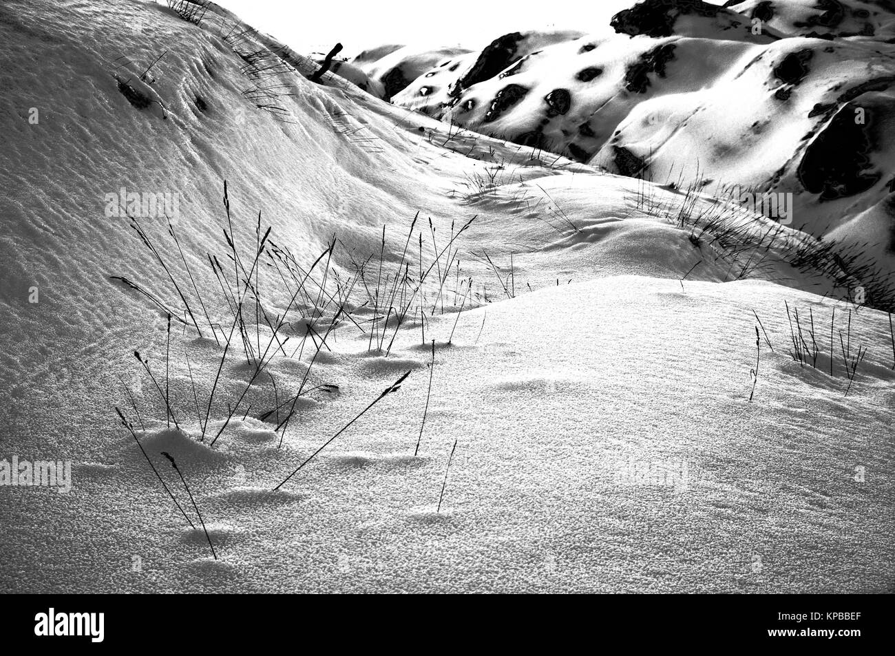 Wild winter landscape at sunrise in black and white. Stock Photo