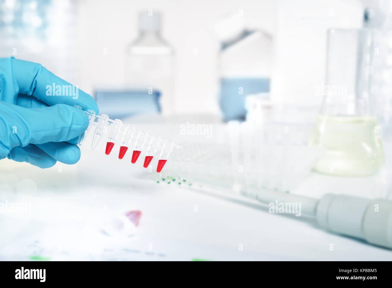 Gloved hands holds scientific sample, working table top out of focus, text space Stock Photo