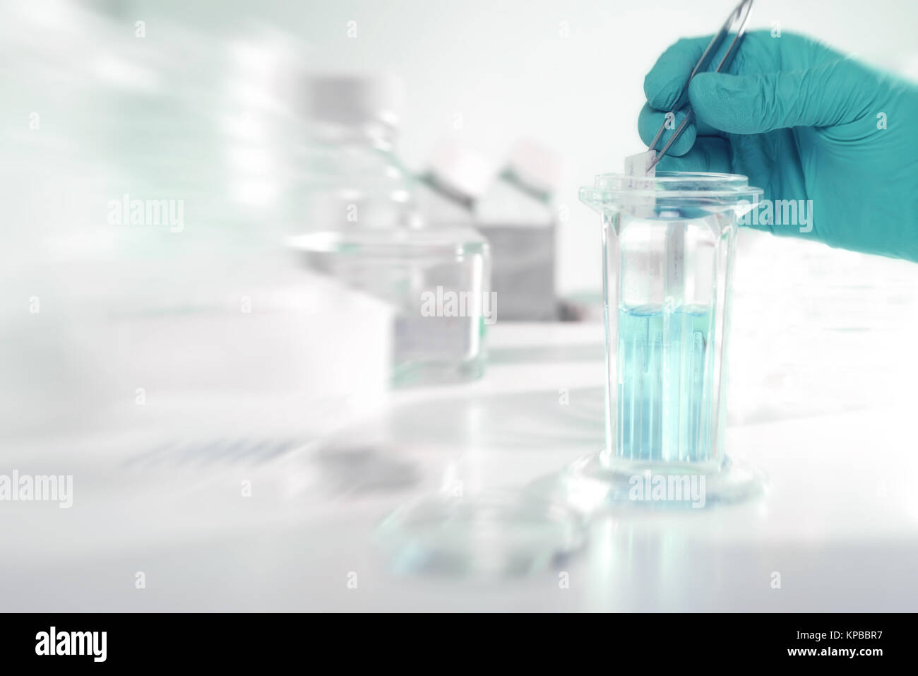 Histochemical staining of tissue samples. Gloved hand  takes slide glass with tissue sections for microscopy from a coplin jar.  Scientific background Stock Photo