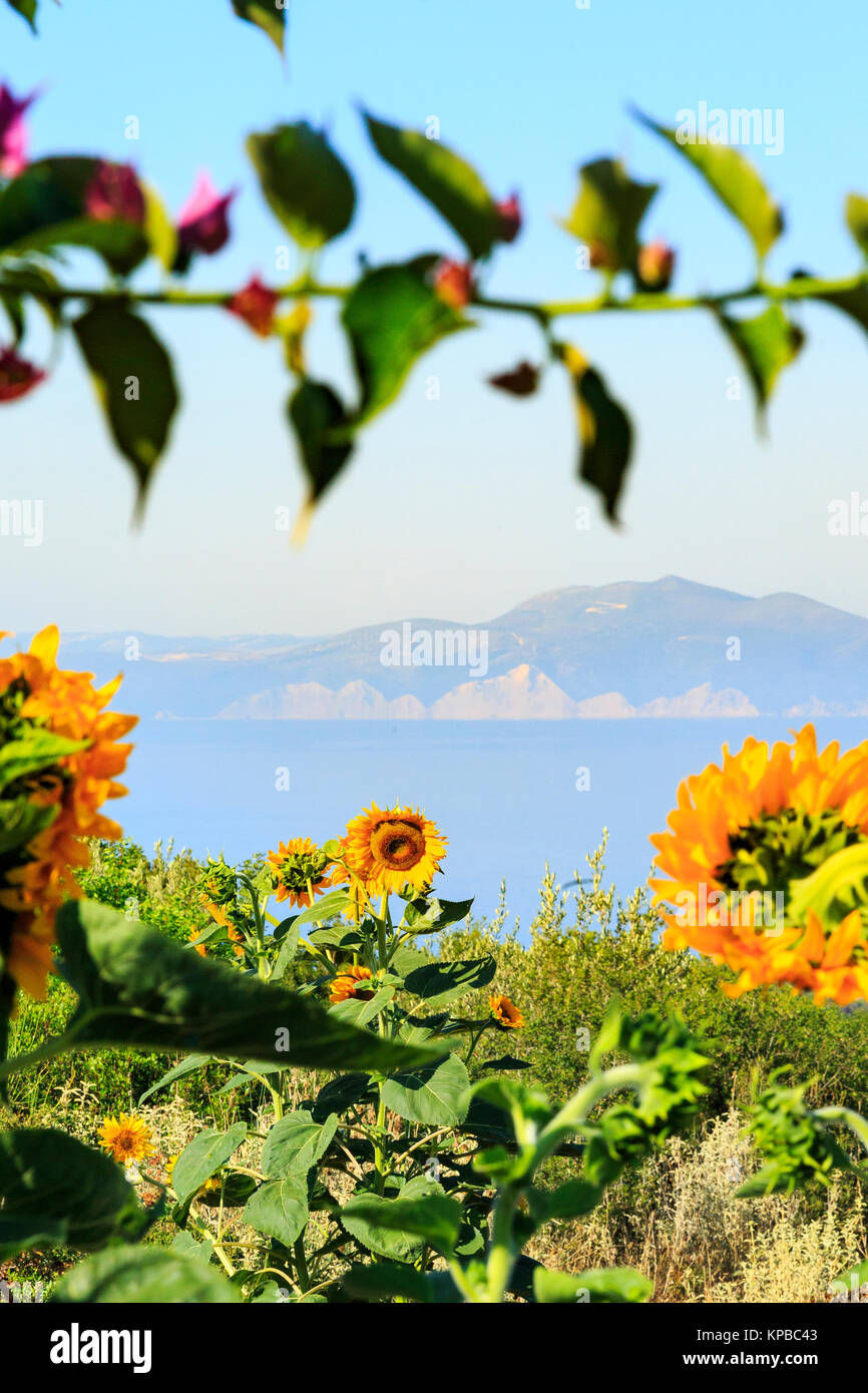 Gardens and Flowers, Kefalonia, Greece Stock Photo Alamy