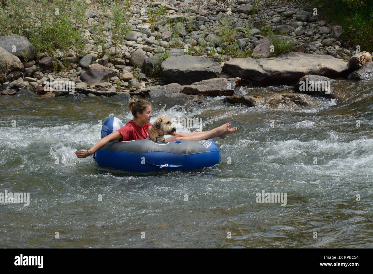 Young woman cooling down in summer by inner tubing with her dog in Clear Creek at Clear Creek White Water Park in Golden Colorado Stock Photo