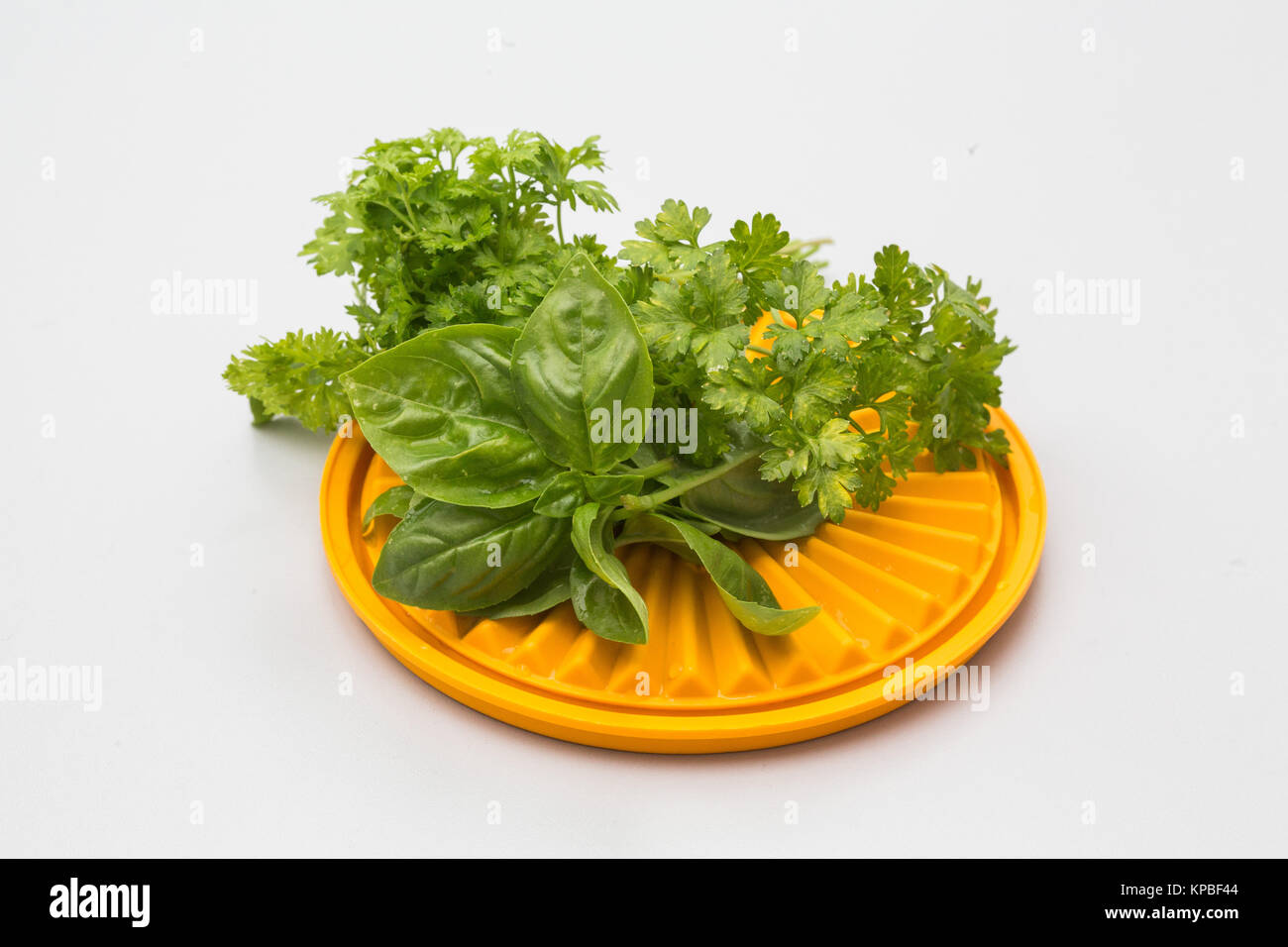 Basil leaves and parsley Stock Photo Alamy