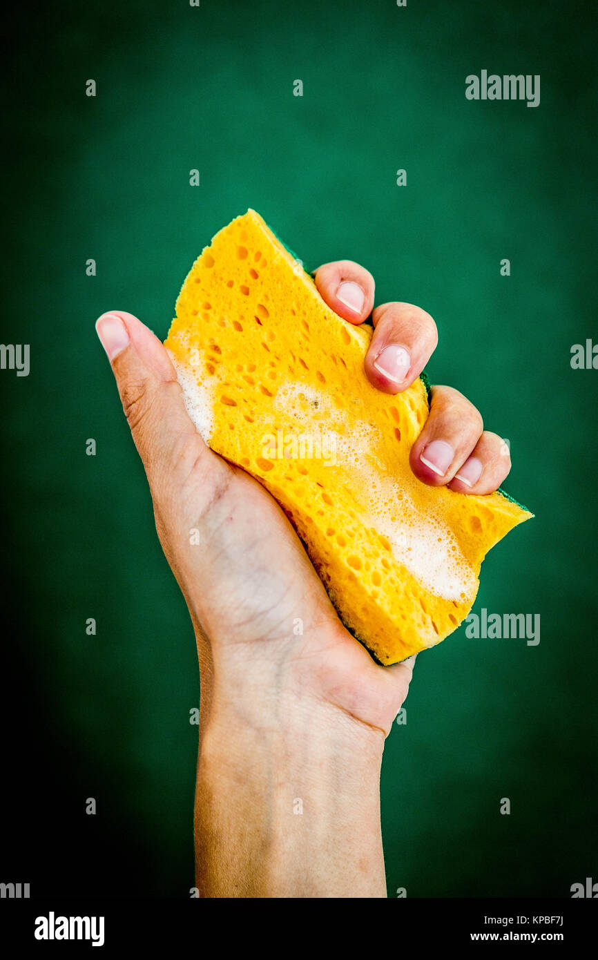 Wet cleaning sponge Stock Photo Alamy