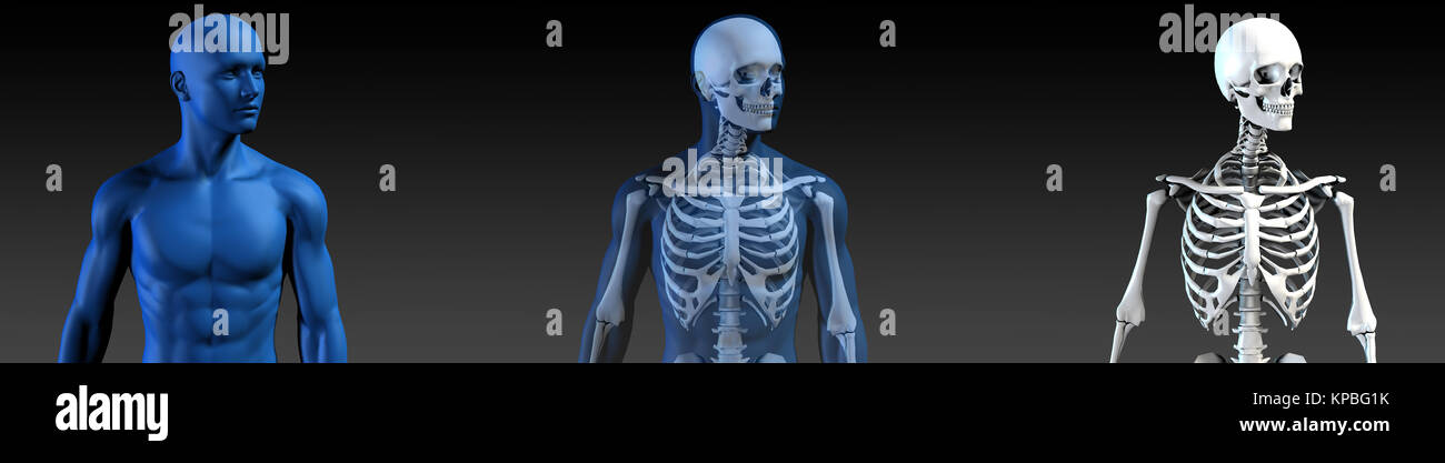 Structureless Human Transparent Human with Bone Structure Stock Photo - Alamy